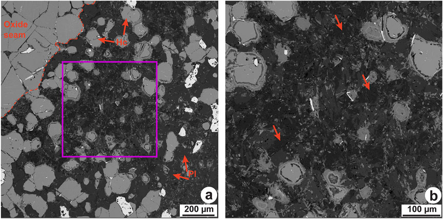 Microscopic image showing two panels of rock sections. Panel (a) on the left shows labeled features: