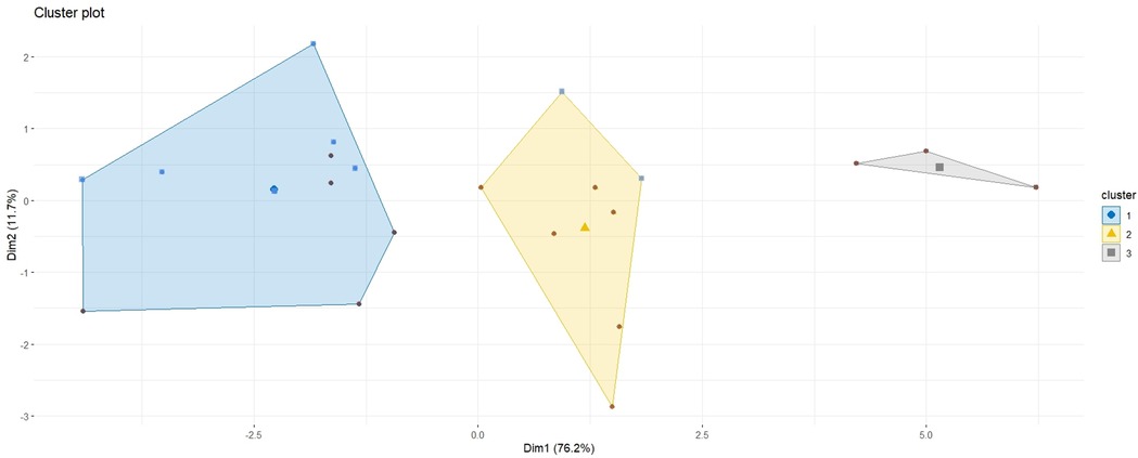 Cluster plot showing three groups with distinct convex hulls. Cluster one is in blue, cluster two in yellow, and cluster three in gray. The x-axis is Dim1 (76.2% variance) and the y-axis is Dim2 (11.7% variance). A legend identifies clusters by color and shape.