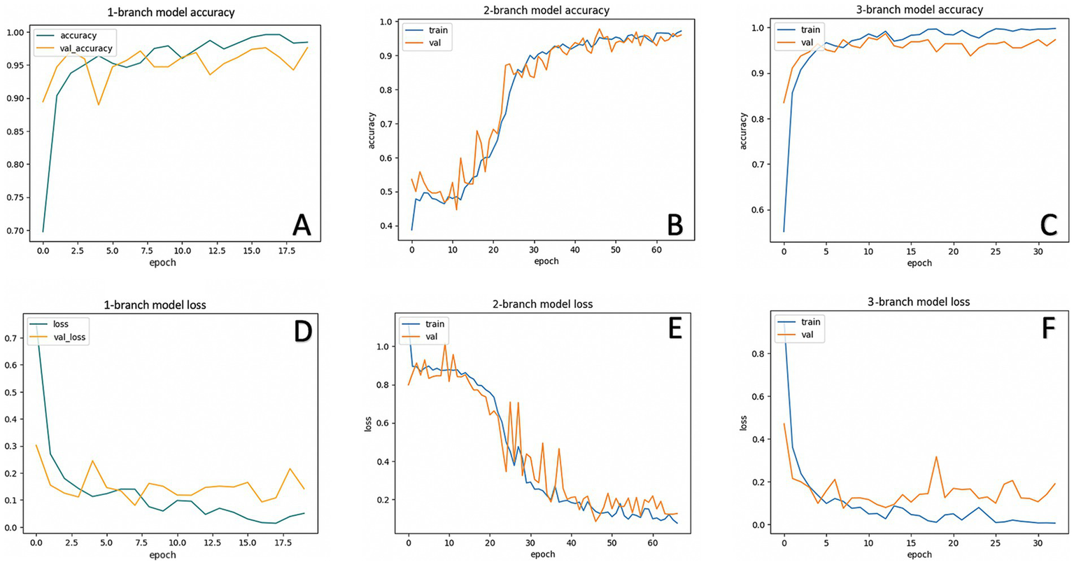 Six graphs display model accuracy and loss trends of three distinct deep learning models (one-branch, two-branch, and three-branch) across multiple training epochs. Charts A, B, and C show the training and validation accuracy: the one-branch model reaches its peak accuracy quickly, the two-branch model demonstrates consistent improvement, and the three-branch model maintains a consistently high level of accuracy. Charts D, E, and F depict training and validation loss: all models show a general decrease in loss over successive epochs, with varied stabilization points. Each chart contrasts training and validation metrics. These plots are crucial for evaluating model performance and identifying overfitting or underfitting.