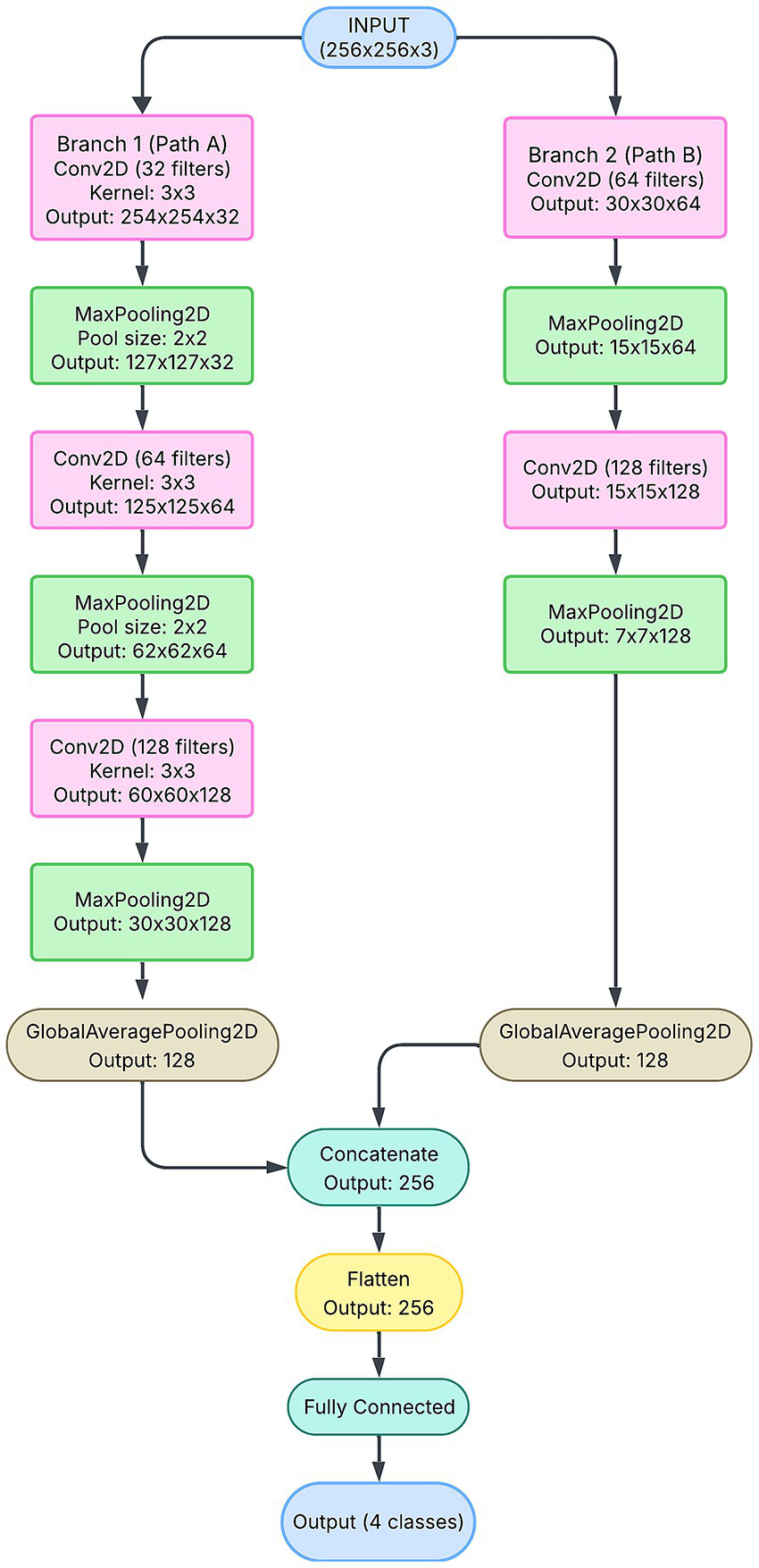 Neural network model diagram with two branches, designed to process an input image of 256x256 pixels with 3 color channels. Branch 1 begins with a series of 2D convolutional layers, progressively increasing in complexity with 32, 64, and then 128 filters. Each convolutional layer is followed by a MaxPooling2D layer to reduce spatial dimensions. This branch concludes with a GlobalAveragePooling2D layer, which consolidates the features into an output of 128 elements. Branch 2 operates similarly, starting with 2D convolutional layers that use 64 and 128 filters, followed by MaxPooling2D layers. Like the first branch, it ends with a GlobalAveragePooling2D layer, producing an output of 128 elements. The outputs from both Branch 1 and Branch 2 are then concatenated, combining their extracted features into a single 256-element output. This combined output is subsequently flattened and fed into a fully connected layer, ultimately leading to the final output layer, which classifies the input into one of four distinct classes.