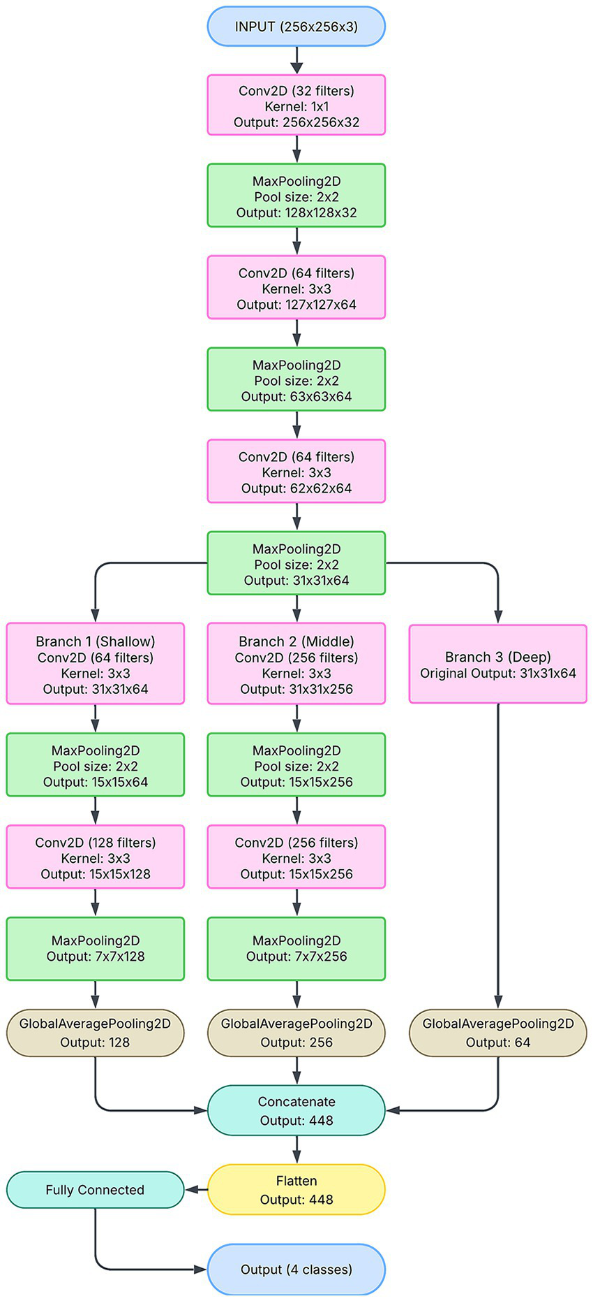 A flowchart of a neural network architecture depicting three branches, designed to process an input image with dimensions of 256x256 pixels and 3 color channels. The initial input is processed by multiple 2D convolutional (Conv2D) and max-pooling (MaxPooling2D) layers, after which the data diverges into three distinct branches. Branch 1 and Branch 2 each undergo further processing through additional Conv2D and MaxPooling2D layers. Both branches then conclude with a GlobalAveragePooling2D layer, which consolidates their respective features. Branch 3 processes the original output and applies pooling. All three branches then converge, with their outputs being concatenated. This combined output is subsequently flattened and fed into a fully connected layer, leading to the final output layer, which classifies the input into one of four distinct categories.