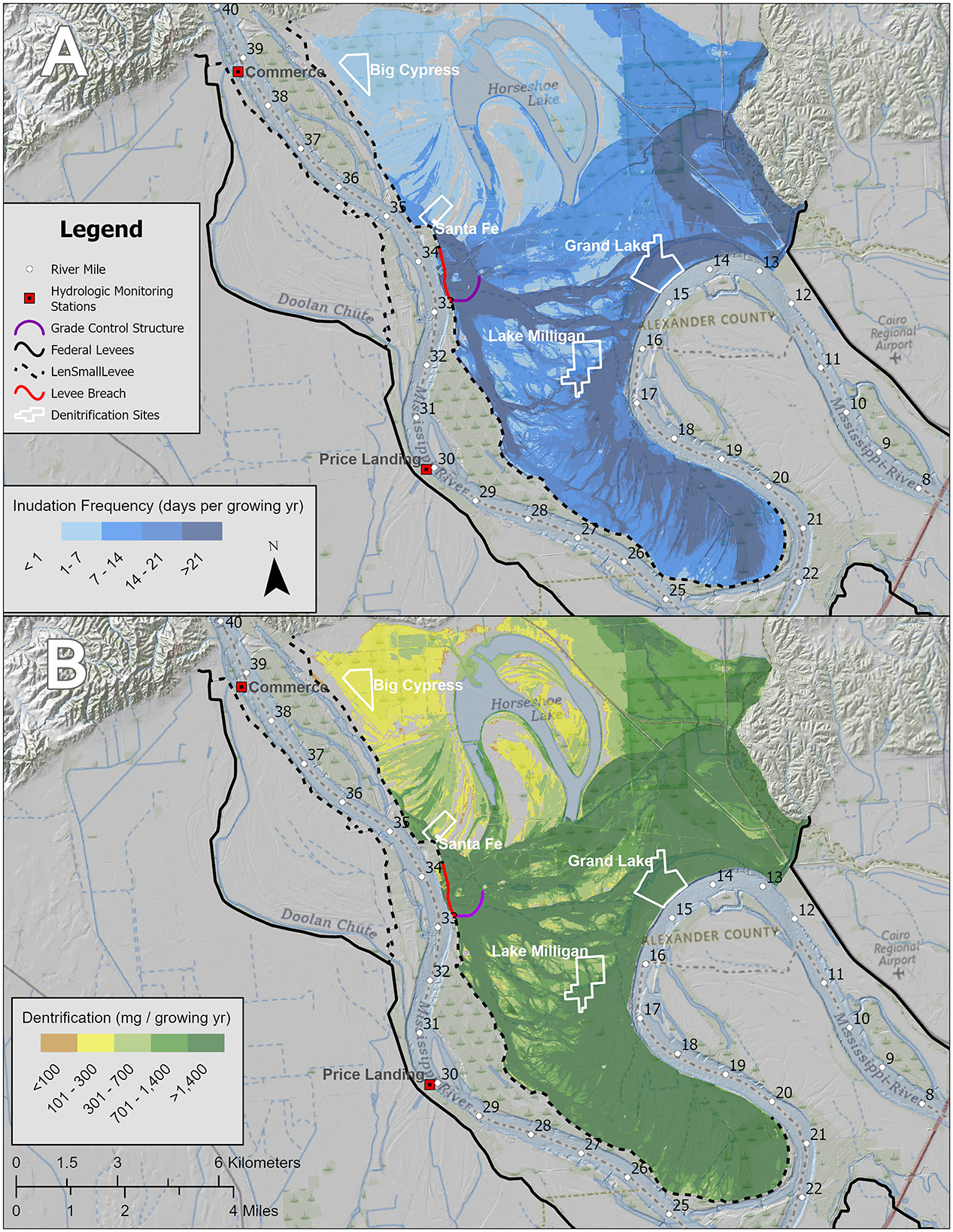 Map (A) encompassing the Dogtooth Bend field sites shows the inundation frequency in days per growing season (April 1–November 1) for Mississippi River conditions circa 2022 with the levee breach and grade control structure in place. Map (B) shows the variation in annual denitrification rate from values presented herein in milligrams per growing season depending on the estimated average annual inundation frequency. Areas at the base of the dog-tooth shape of the Bend are most frequently flooded with an inundation frequency equal to or greater than a 7 percent daily exceedance probability.