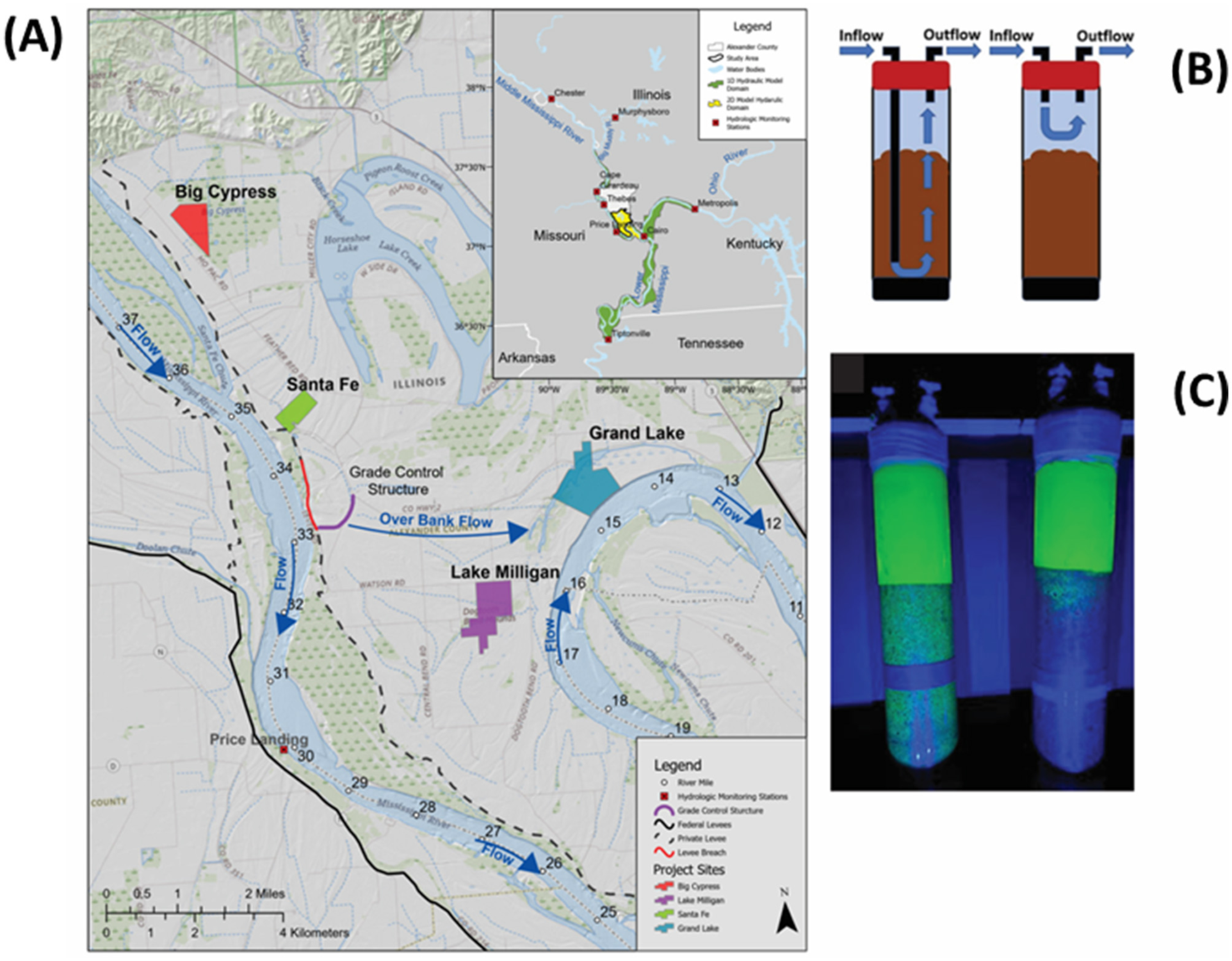 Diagram (A) maps field site, levees, the 2016 Len Small Levee breach, and grade control structure. Arrows show flow direction of the Mississippi River and the overbank flow through the levee breach. An inset shows the regional extent of hydrodynamic domains across Illinois, Missouri, Arkansas, Kentucky, and Tennessee, and hydrologic stations used in the model. (B) Shows incubation methods of injecting water into the base or top of cylindrical soil cores with top outflow. (C) Shows dye penetration, either permeating throughout the soil core or the top 2 centimeters of the soil, depending on deep or shallow injection.