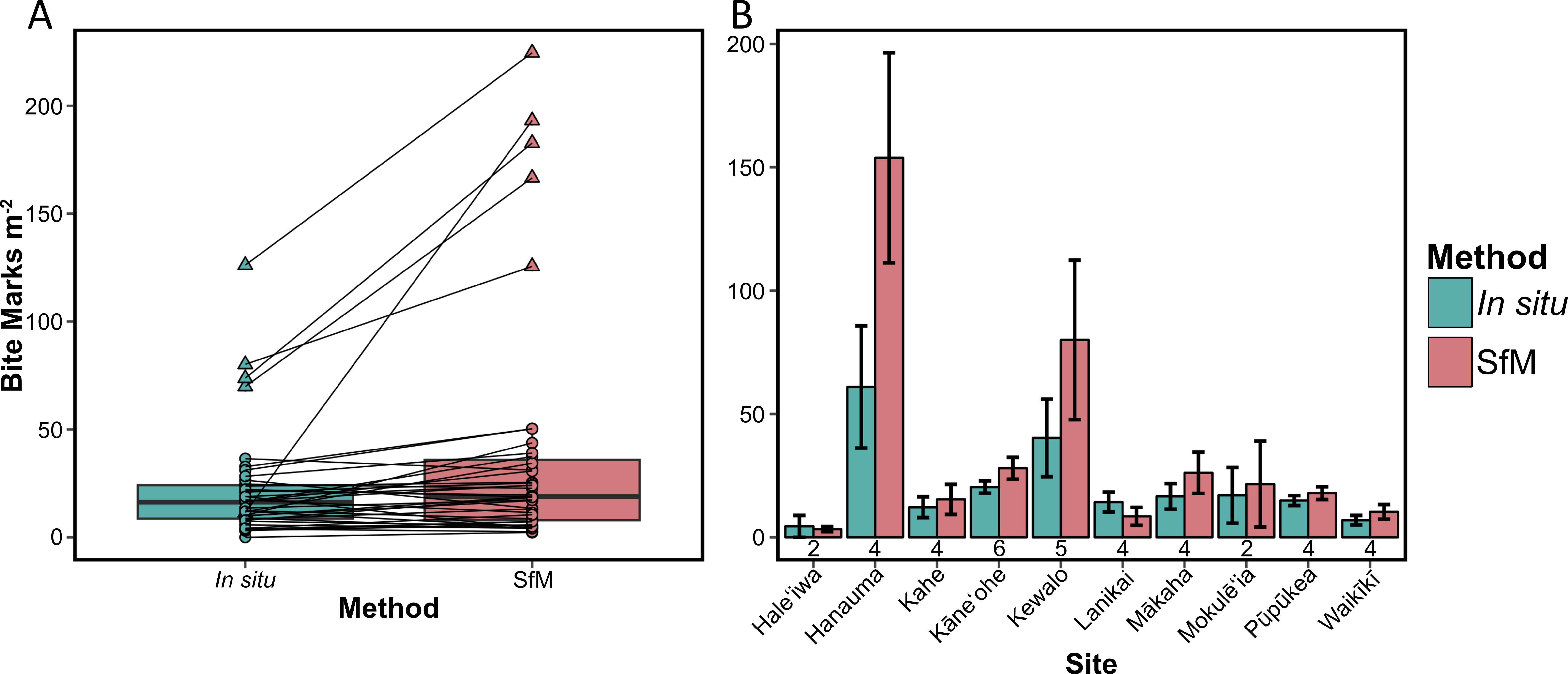 Two-panel chart comparing bite marks per square meter using different methods. Panel A shows a box plot with “In situ” and “SfM” methods, highlighting variation in bite marks. Panel B displays a bar chart of different sites, each with “In situ” and “SfM” methods, showing varying bite mark levels, with Hanauma having the highest for “SfM”. Error bars indicate variability for each method and site.