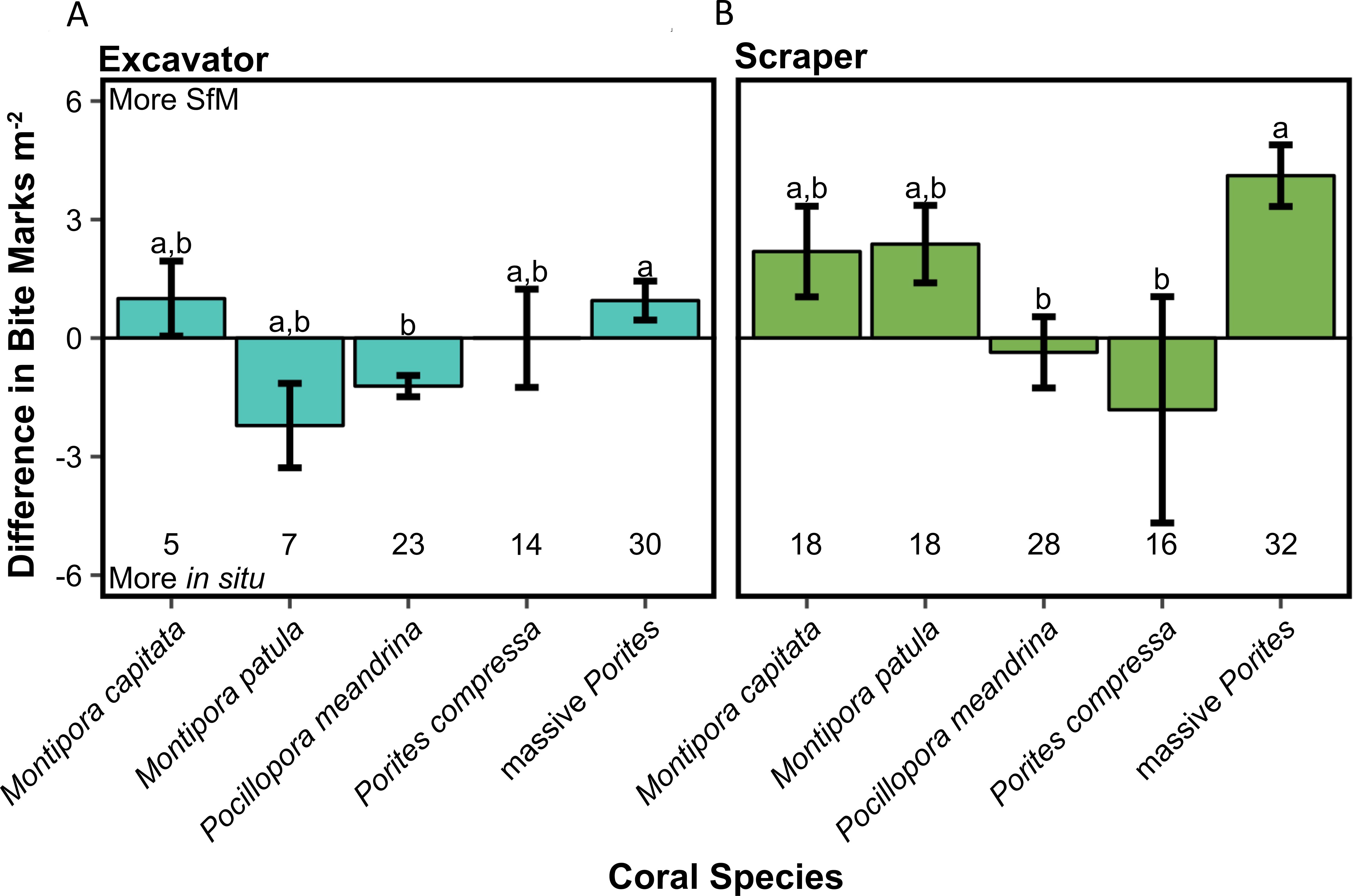 Bar charts compare differences in bite marks per square meter for excavator and scraper coral species. Chart A for excavators shows variable results, while Chart B for scrapers indicates mostly positive values. Coral species include Montipora capitata, Montipora patula, Pocillopora meandrina, Porites compressa, and Porites massive, with data from both SfM and in situ.