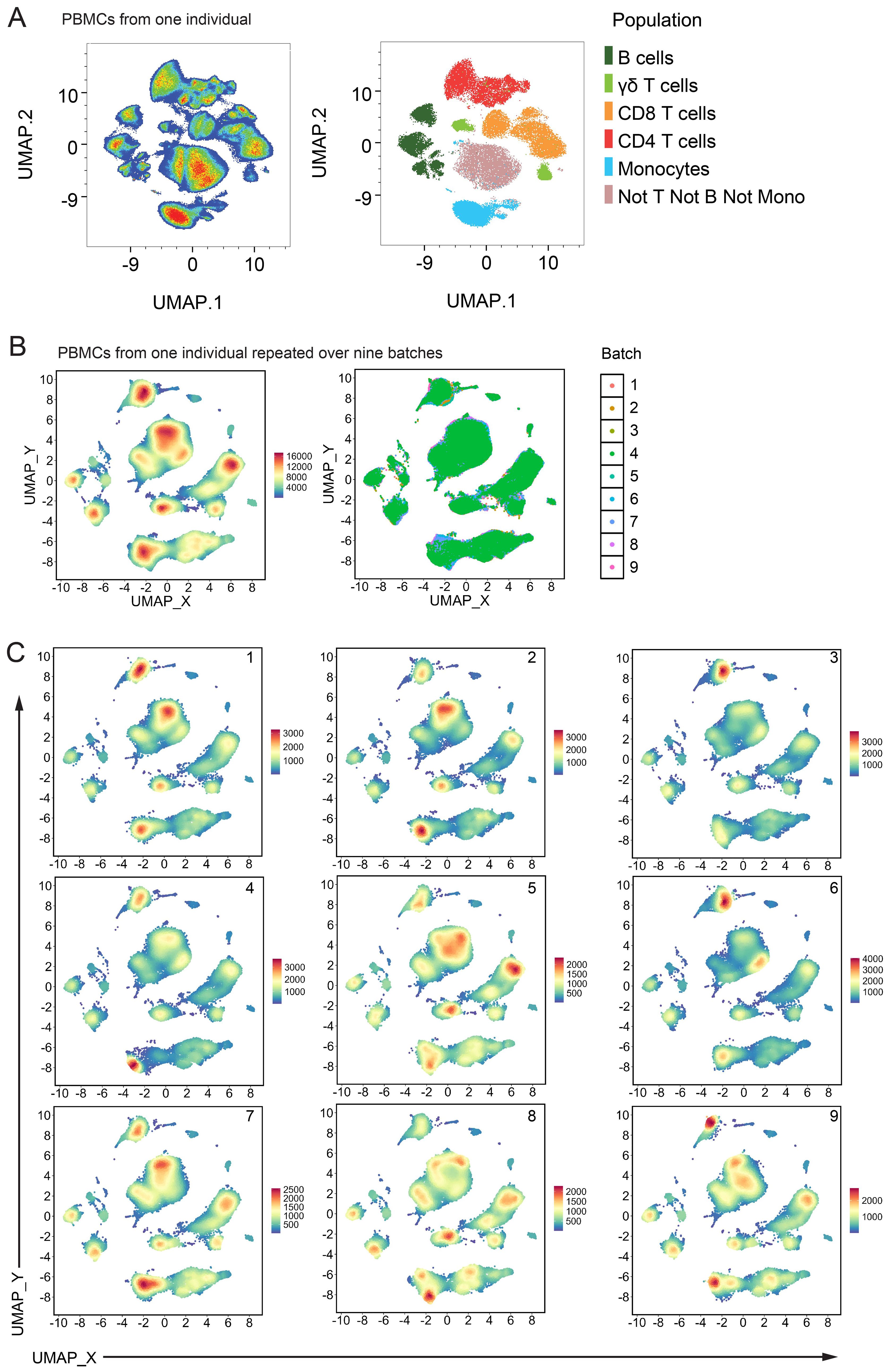 UMAP plots show PBMCs (Peripheral Blood Mononuclear Cells) from one individual. Panel A displays cell populations differentiated by color. Panels B and C show batch variations, with distinct cell populations and batches highlighted. Legend denotes cell types and batch numbers.