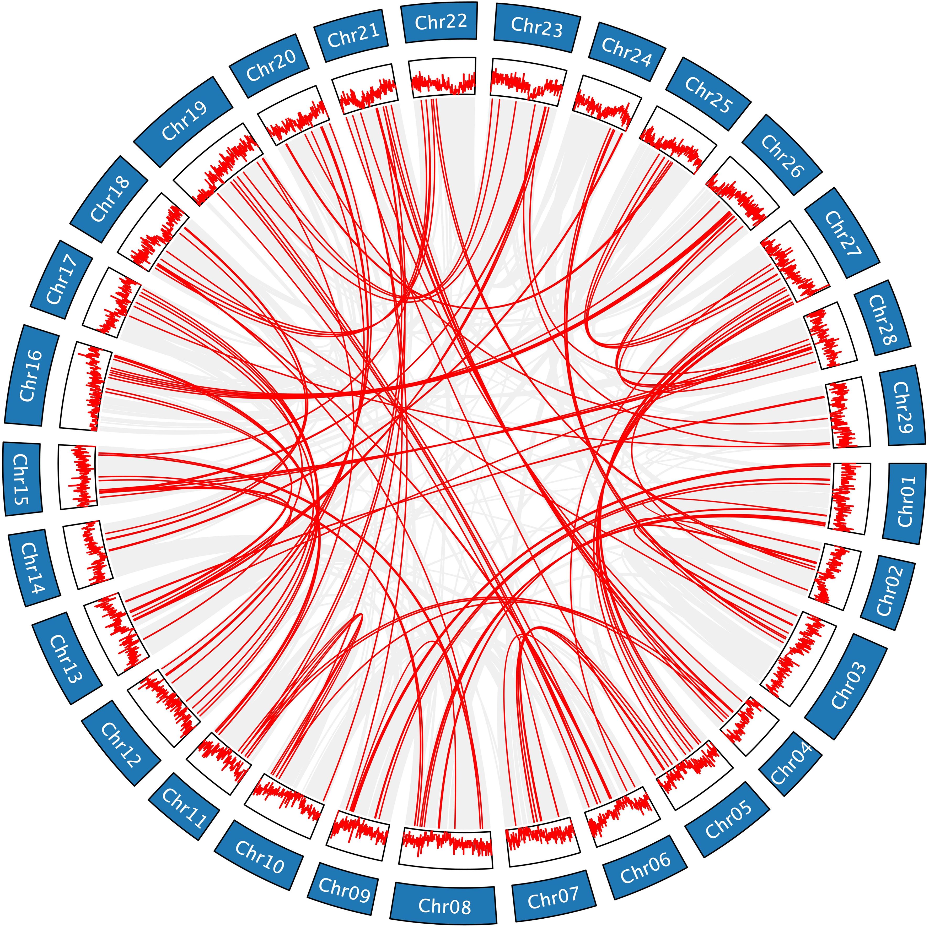 Circular diagram depicting interactions between chromosomes labeled Chr01 to Chr29. Red lines connect various chromosomes, illustrating connections or relationships. Short line graphs are displayed below each chromosome label, indicating data patterns or variations related to each chromosome.