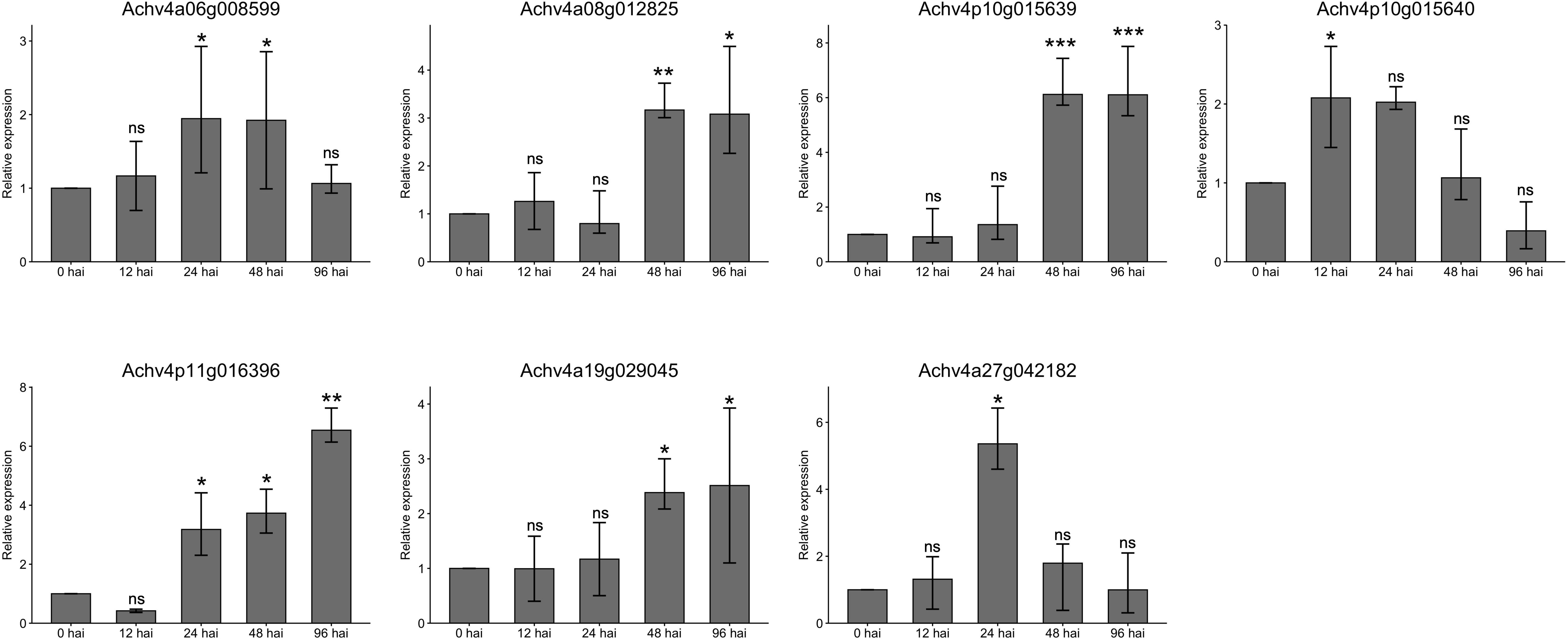 Bar graphs display relative expression levels of specific genes at various hours after infection (hai): 0, 12, 24, 48, and 96. Expression varies, with some significant increases noted by asterisks. Each graph represents different gene identifiers, showing distinct patterns of expression over time. Bars indicate standard error.