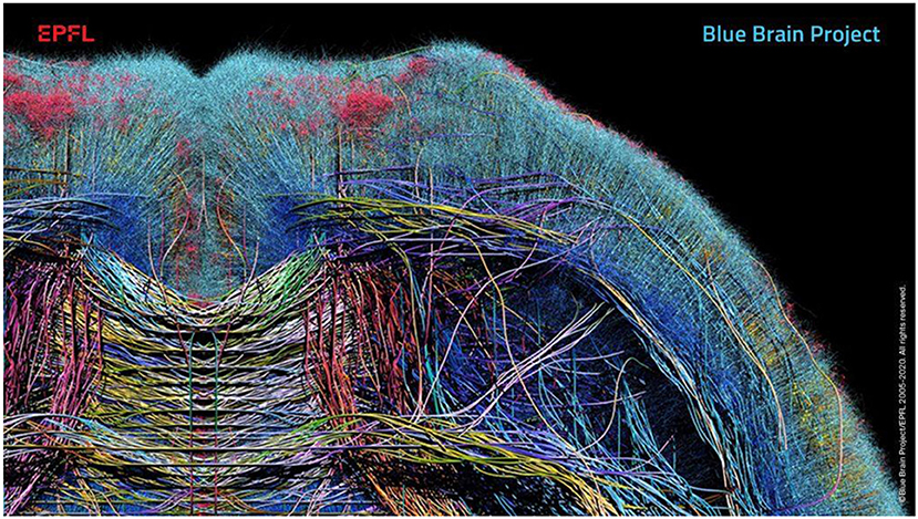 Visualization of the Blue Brain Project by EPFL, depicting a complex, colorful network of neural pathways. The intricate design features intertwined lines and structures resembling a brain’s anatomy, set against a black background.