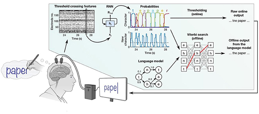 Diagram illustrating a brain-computer interface for typing. A person imagines writing paper, which is processed through electrodes and a computer. Time series data from electrodes is transformed into characters using recurrent neural networks (RNN) and a language model. Probabilities of letters are shown, leading to both raw online output and refined offline output via Viterbi search. The word “paper” is ultimately displayed on a screen.