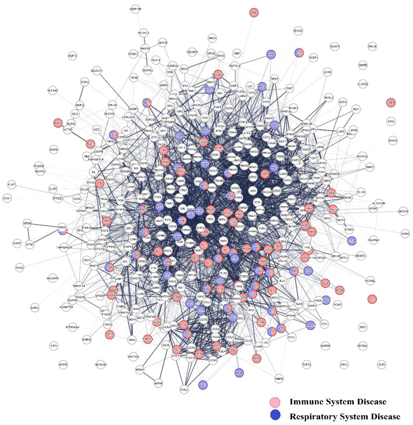 Network diagram showing interactions between genes linked to immune and respiratory system diseases. Nodes representing immune system diseases are red, and respiratory system diseases are blue. Various connections illustrate the complex interrelationships.