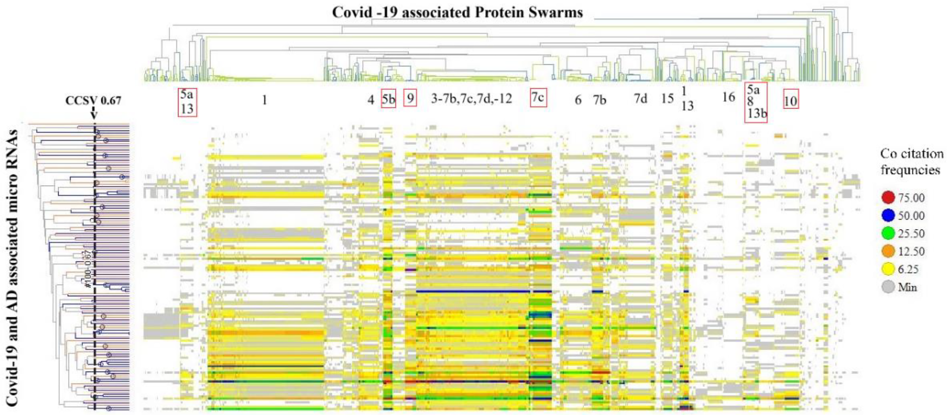 Dendrogram depicting COVID-19 associated protein swarms and their relation to microRNAs linked with both COVID-19 and Alzheimer's disease. Various co-citation frequencies are color-coded: dark red (75.00), blue (50.00), green (25.50), orange (12.50), yellow (6.25), and grey (minimum levels). Annotated numbers and letters indicate specific clusters and associations.