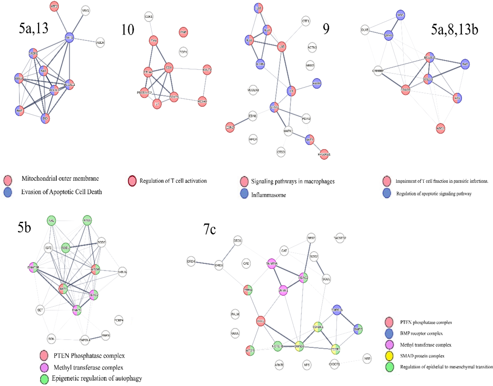 Network diagrams depict various biological pathways, labeled as 5a, 13, 10, 9, 5a, 8, 13b, 5b, and 7c. Nodes are colored to represent different functions: pink for mitochondrial outer membrane, blue for evasion of apoptotic cell death, red for T cell activation, among others. Connections illustrate interactions between components within each pathway, with legends indicating specific cellular functions and mechanisms.