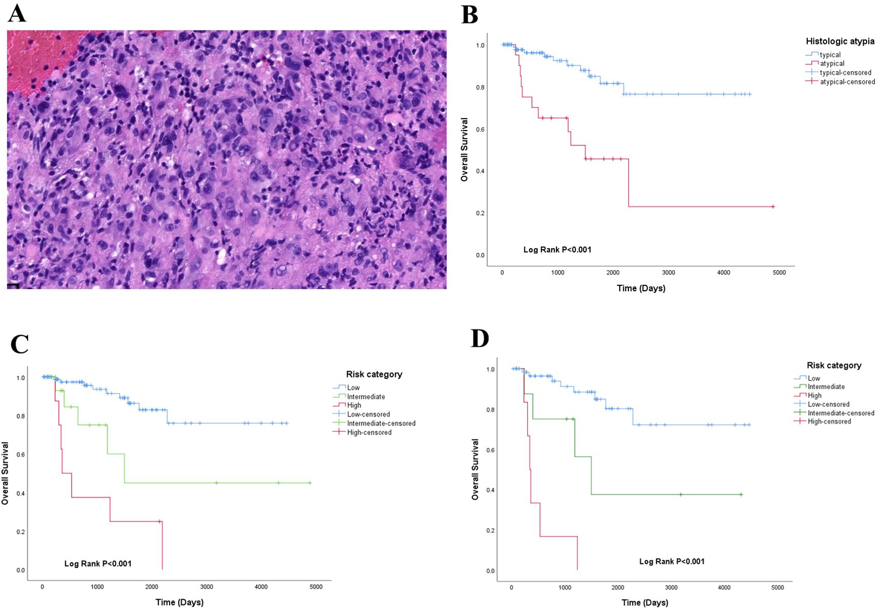 Panel A shows a histological image with dense, varied cell appearance. Panel B presents a survival curve comparing typical and atypical histologic atypia over time, showing significant differences. Panel C depicts a survival curve based on risk categories—low, intermediate, and high—with noticeable variation in survival. Panel D illustrates another survival curve by risk category, also indicating significant survival differences. All charts include a legend and show significant differences with a log-rank p-value less than 0.001.