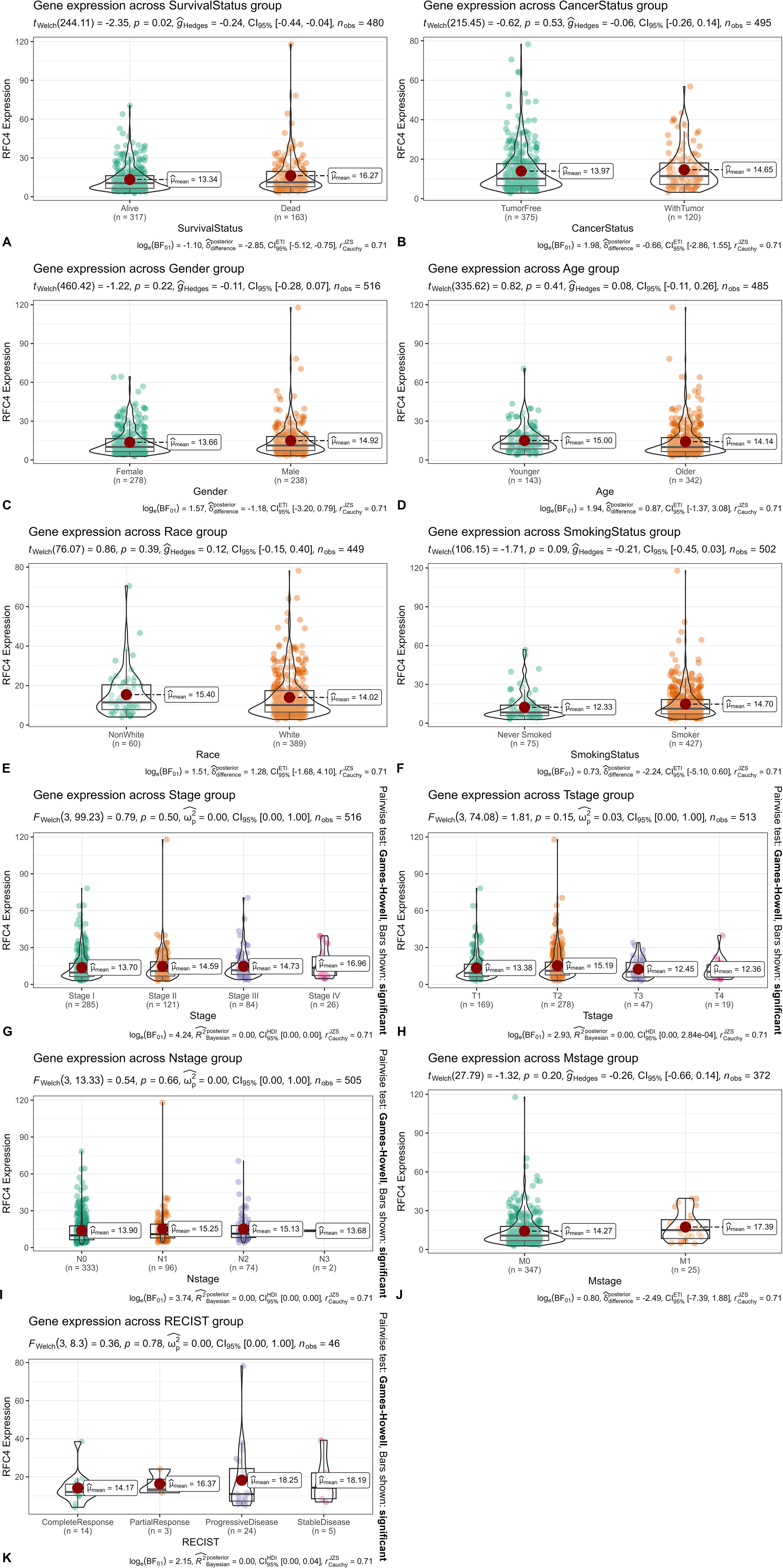 Violin plots display RFC4 gene expression across various groups: Survival Status, Cancer Status, Gender, Age, Race, Smoking Status, Stage, Tstage, Nstage, Mstage, and RECIST. Each plot includes mean expression values, distribution shapes, group sizes, and statistical test results, highlighting variations in gene expression within and between groups.