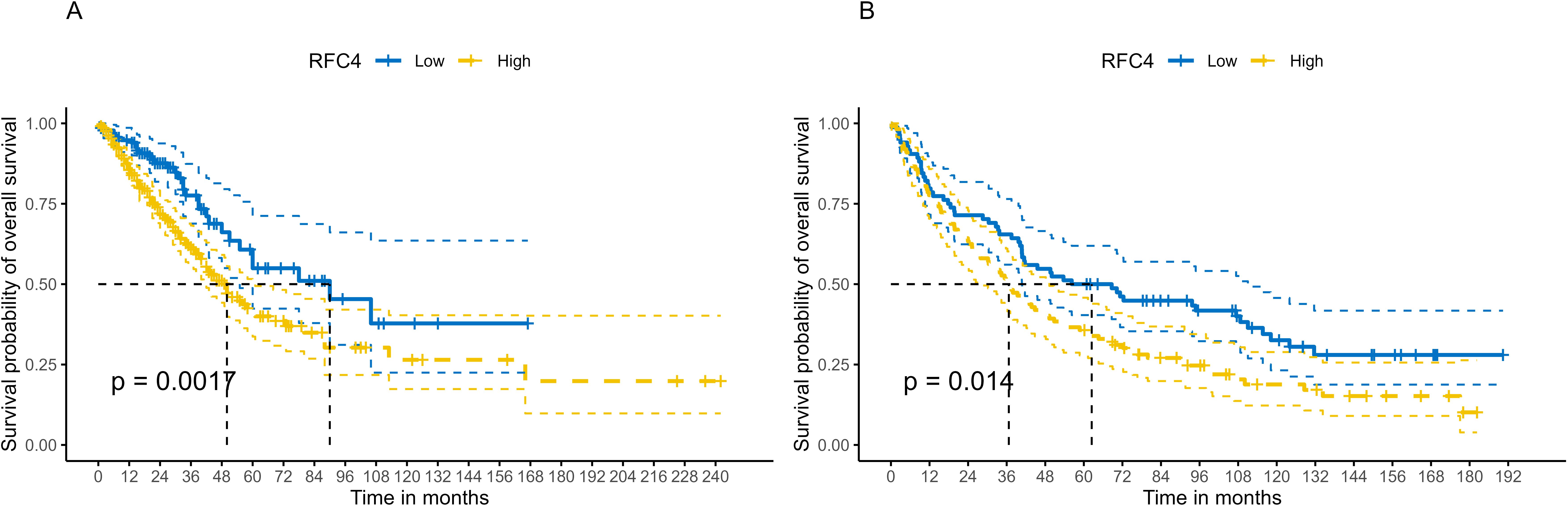 Kaplan-Meier survival curves compare the overall survival probability between low and high RFC4 expression groups. Chart A shows a significant difference (p = 0.0017) and chart B shows another comparison with p = 0.014. The low expression group is indicated in blue, and the high expression group in yellow. Both graphs display survival over 240 months on the x-axis and survival probability on the y-axis.