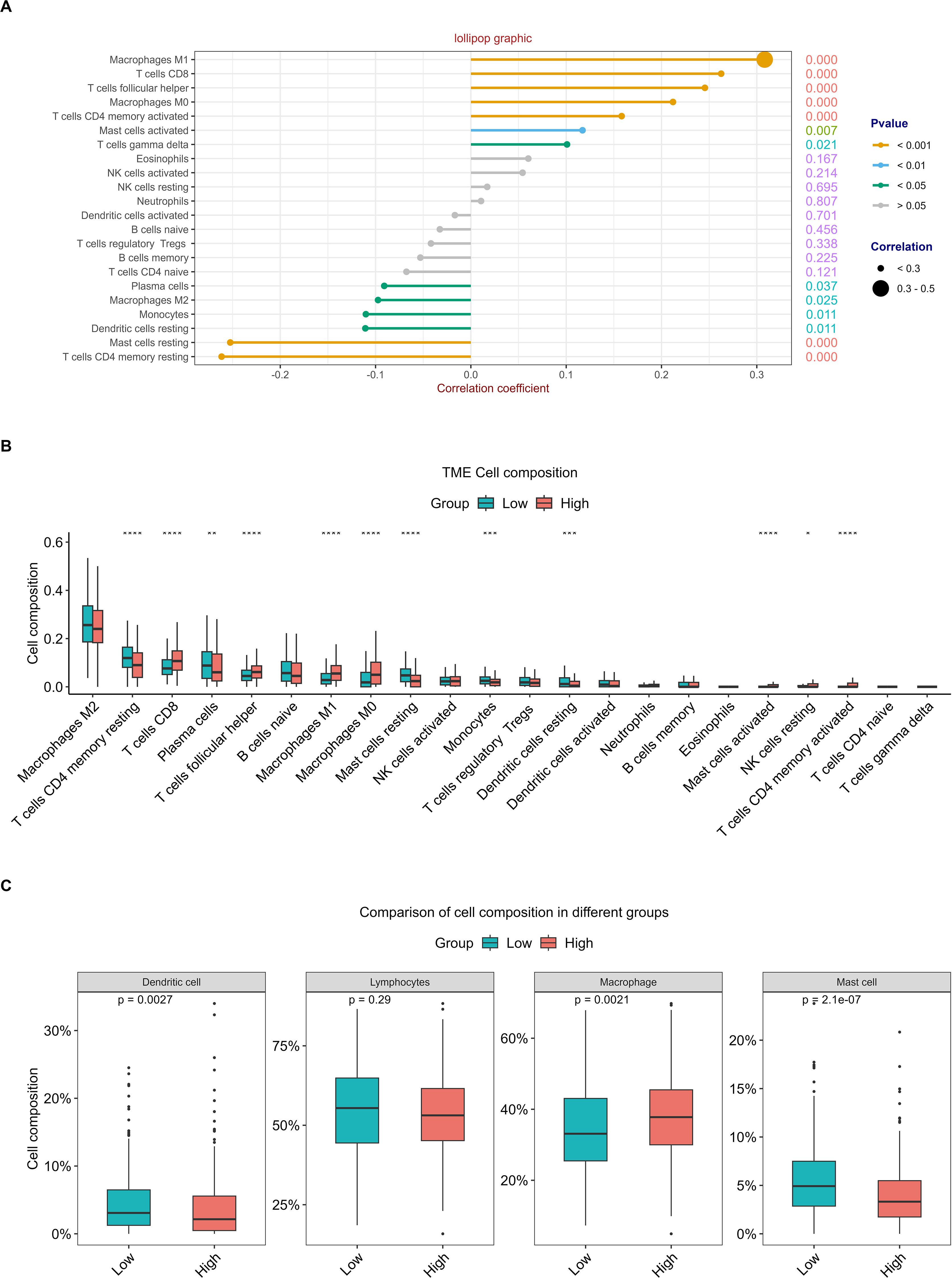 Panel A displays a lollipop chart showing the correlation coefficients of various immune cells, with different colors representing significance levels. Panel B presents a box plot comparing cell composition in low and high groups for various cell types. Panel C provides separate box plots for dendritic cells, lymphocytes, macrophages, and mast cells, comparing cell composition between low and high groups, with statistical significance indicated for each.