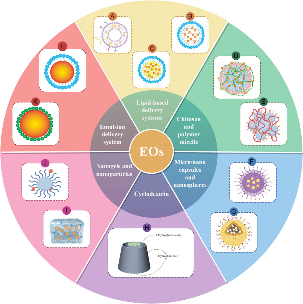 Frontiers | Advances in plant essential oils and drug