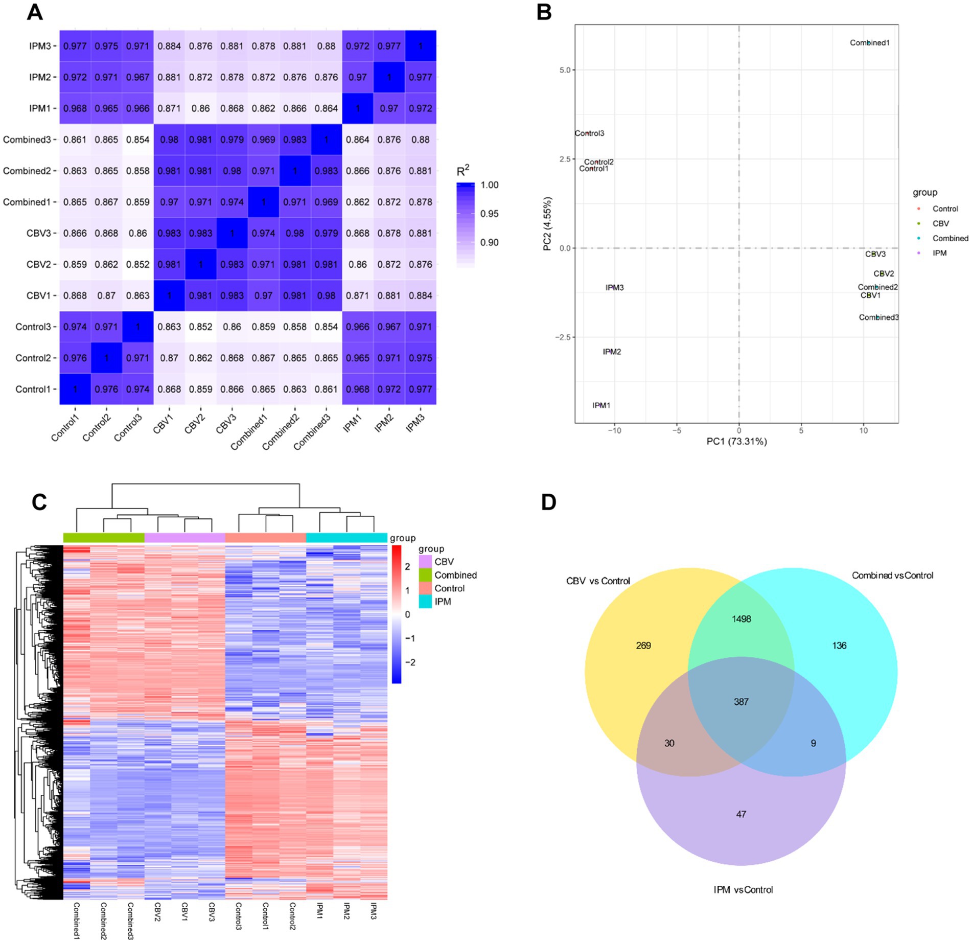 A set of four scientific visualizations: (A) A heatmap showing correlation coefficients between different samples, with a gradient from white to dark blue representing values from 0.9 to 1.0. (B) A principal component analysis (PCA) plot displaying sample clustering by group, with distinct symbols for Control, CBV, Combined, and IPM groups. (C) A heatmap with hierarchical clustering of grouped data, using color coding to show varying expression levels across samples. (D) A Venn diagram illustrating the overlap of differentially expressed features between CBV vs. Control, Combined vs. Control, and IPM vs. Control groups.
