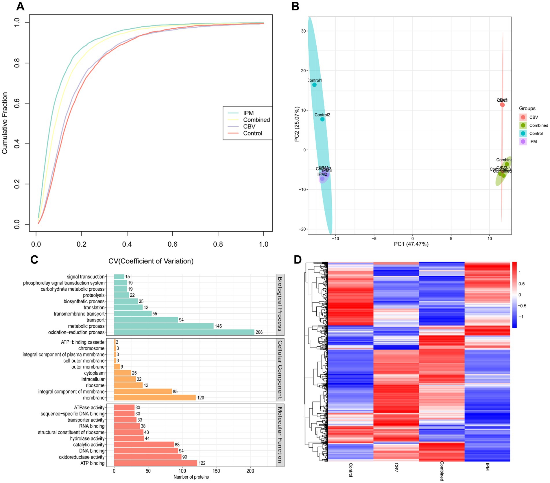 Four-panel image showing different data visualizations. Panel A: Line graph of cumulative fraction versus coefficient of variation for four groups (IPM, Combined, CBV, Control), with CBV and Control closely overlapping. Panel B: PCA plot displaying separation of samples grouped by color and labeled as CBV, Combined, Control, and IPM. Panel C: Horizontal bar chart categorizing proteins by biological processes, cellular components, and molecular functions, listing coefficients of variation and number of proteins. Panel D: Heatmap displaying hierarchical clustering of gene expression data, with a color gradient from blue to red indicating expression levels across different samples.
