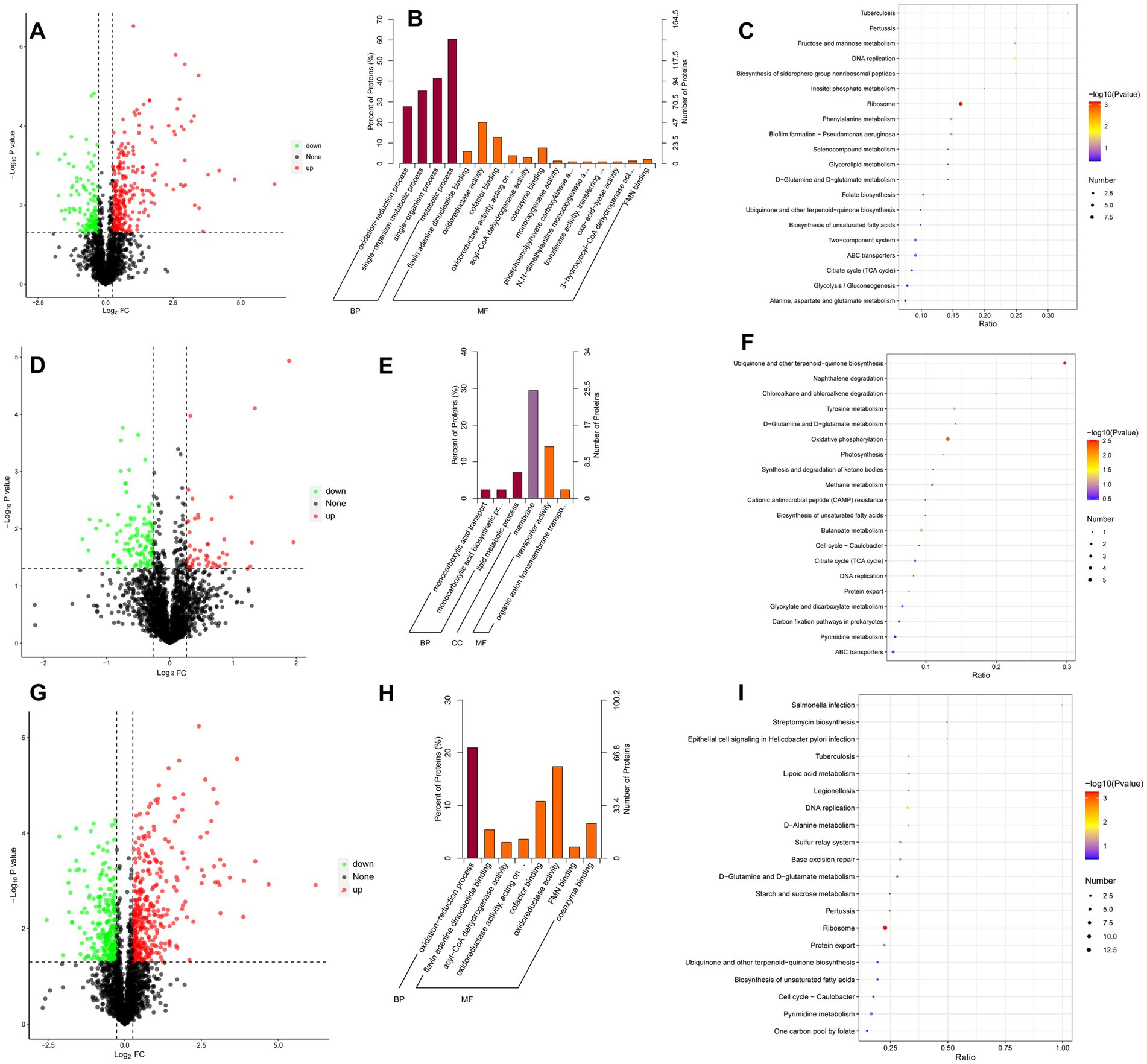 Nine-panel image illustrating data analysis results, including volcano plots, bar graphs, and dot plots. Panels A, D, and G show volcano plots with gene expression data revealing upregulation, downregulation, and unchanged genes. Panels B, E, and H present bar graphs showing enrichment analysis results with gene ontology terms categorized into biological processes, cellular components, and molecular functions. Panels C, F, and I display dot plots illustrating pathway enrichment analyses with color gradients and size variations signifying significance and number of genes involved.