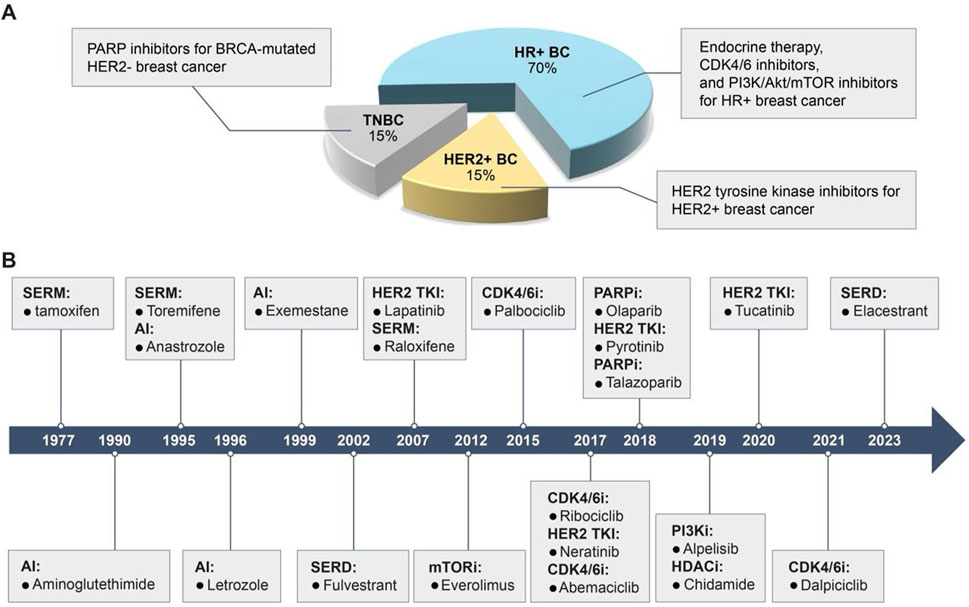 Panel A shows a pie chart of breast cancer subtypes with HR+ at 70%, HER2+ at 15%, and TNBC at 15%. Treatments include endocrine therapy, CDK4/6 inhibitors, and PARP inhibitors. Panel B displays a timeline of breast cancer drug approvals from 1977 to 2023, detailing the introduction of various drugs like tamoxifen and palbociclib, with specific focus on different drug classes such as SERM, AI, PARPi, HER2 TKI, and CDK4/6i.