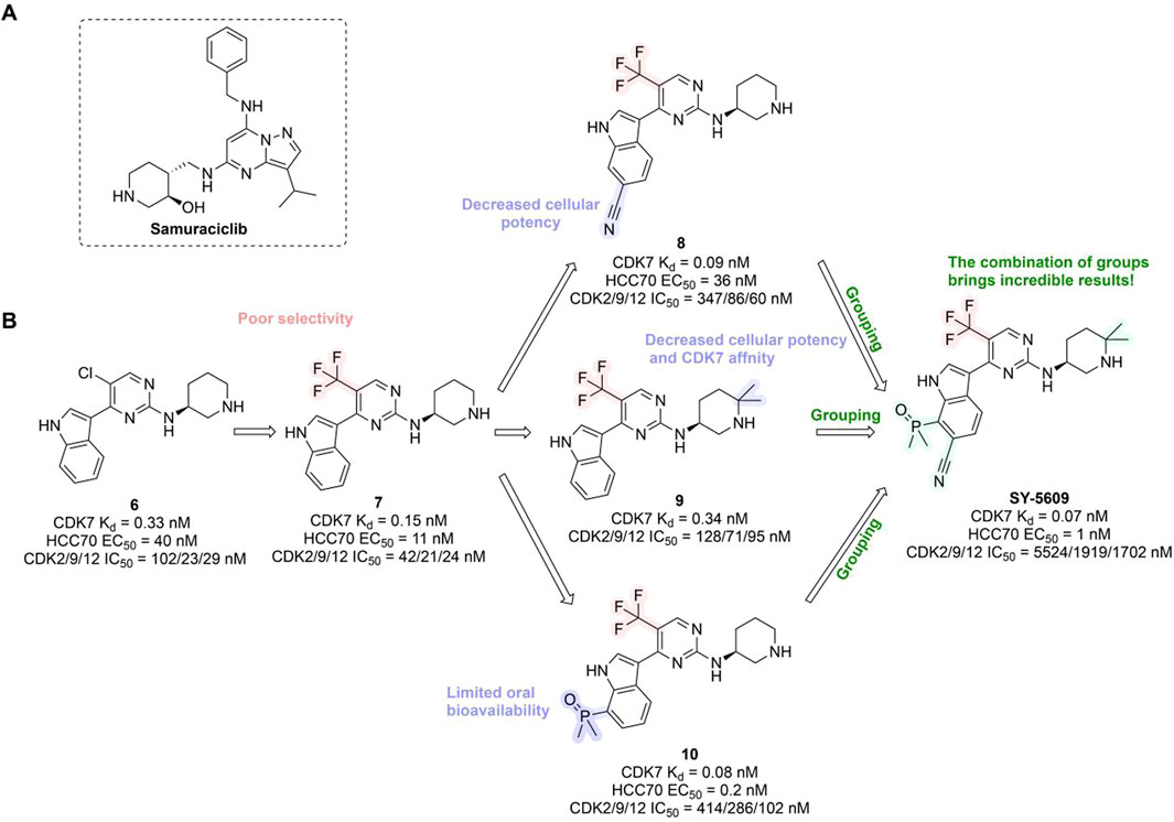 Diagram comparing chemical structures and properties related to CDK7 inhibitors. Image A shows the structure of Samuraciclib. Image B presents a progression of modified molecules, detailing their binding affinities and cellular potencies. Key phrases include