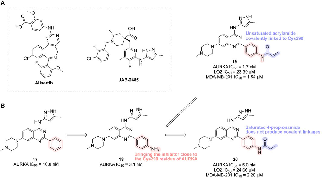 Chemical structures and activity details of AURKA inhibitors are depicted. Part A shows Alisertib and JAB-2485. Compound 19 includes an unsaturated acrylamide linked to Cys290 with IC50 values for AURKA, LO2, and MDA-MB-231 specified. Part B illustrates a pathway from compound 17 to 18 and 20. Compound 18 brings the inhibitor close to Cys290, while compound 20 features a saturated 4-propionamide that lacks covalent linkages. IC50 values are provided for each compound.