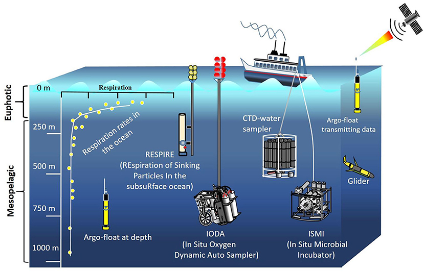 Illustration of oceanic scientific research tools at various depths. The euphotic zone is above 250 meters, and the mesopelagic zone reaches 1000 meters. Tools include an Argo float, IODA (In Situ Oxygen Dynamic Auto Sampler), CTD-water sampler, and ISMI (In Situ Microbial Incubator). A glider and a ship transmit data via satellite. Respiration rates in the ocean are shown along with the process of RESPIRE (Respiration of Sinking Particles in the Subsurface Ocean).