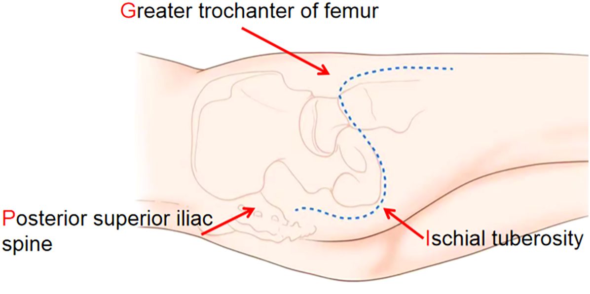 www.frontiersin.org