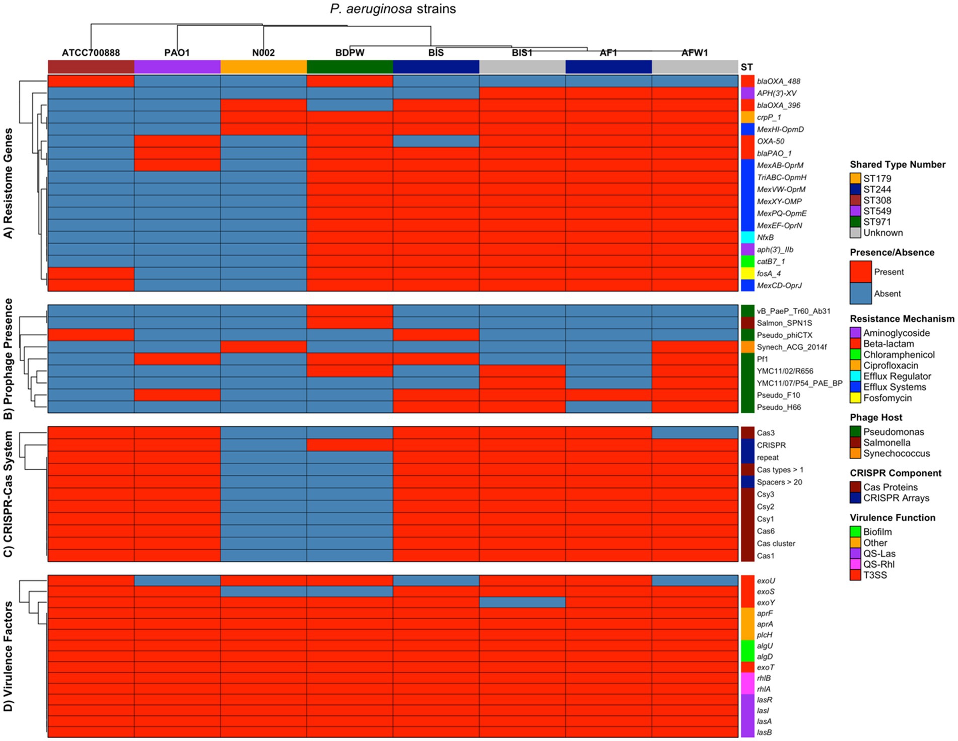 Multi-panel heatmap of P. aeruginosa strains showing: A) Resistance genes, B) Prophage, C) CRISPR-Cas System, and D) Virulence genes. The legend indicates colours representing presence (red colour) or absence (steel blue colour) along with shared type (ST) numbers, resistance mechanisms, phage host, CRISPR component, and virulence properties. Each strain, listed in rows, is compared against different genes or systems labelled on the right. Colour-coded bars at the top represent shared type numbers, linking genetic profiles with pathogenic capabilities.