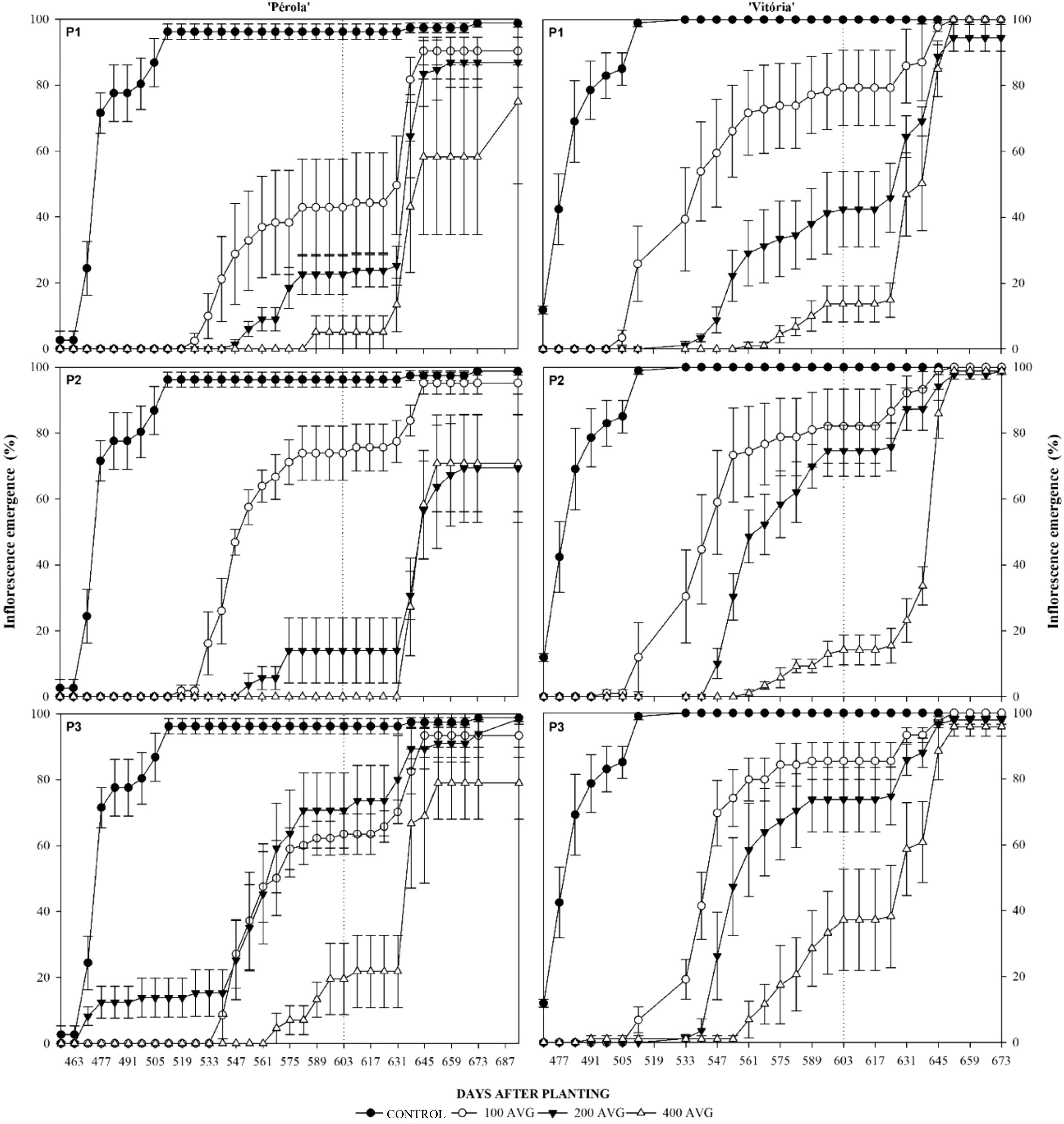 Charts displaying inflorescence emergence percentages over days after planting for two plant varieties, 'Pérola' and 'Vitória.' Each variety has three panels (P1, P2, P3) showing control and three AVG treatments (100, 200, 400) with error bars. 'Pérola' and 'Vitória' demonstrate similar emergence trends, with variations in emergence rates and timings across different treatments.
