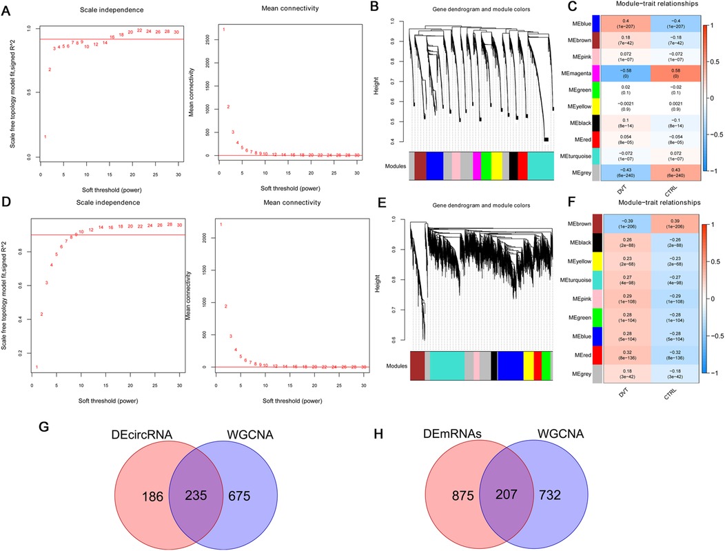 Graphs and diagrams depict analyses of gene expression. Panels A and D show scale independence and mean connectivity for varying soft threshold powers. Panels B and E display gene dendrograms with module colors. Panels C and F are heatmaps of module-trait relationships, with color gradients indicating correlation strength. Panels G and H Venn diagrams compare differentially expressed circular/linear RNAs and weighted gene co-expression network analysis (WGCNA) with overlaps in the center.