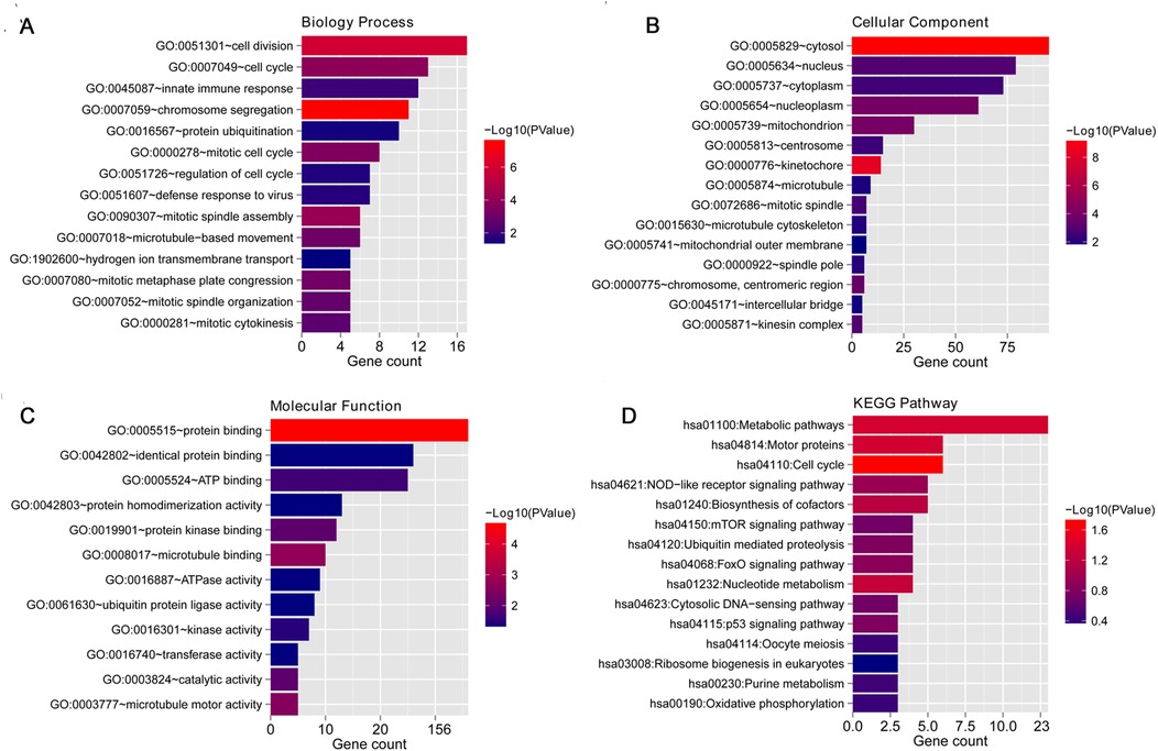 Grouped bar charts showing gene enrichment analysis across four categories: (A) Biology Process, (B) Cellular Component, (C) Molecular Function, and (D) KEGG Pathway. Bars represent gene counts with color intensity indicating -Log10(PValue), ranging from blue (lower significance) to red (higher significance).