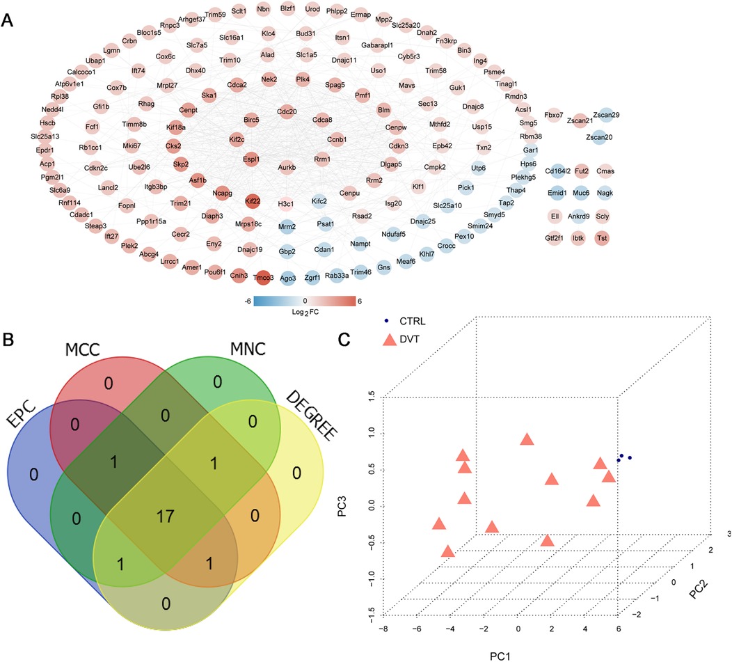 A composite image of three panels: Panel A shows a circular network map with nodes in red and blue, indicating log2 fold change (FC), and labeled by gene names. Panel B displays a four-set Venn diagram with segments labeled EPC, MCC, MNC, and DEGREE, numbers indicating overlaps (e.g., 17 in the center where all sets overlap). Panel C is a three-dimensional scatter plot with blue and red markers representing CTRL (blue dots) and DVT (red triangles), plotted across principal components PC1, PC2, and PC3.