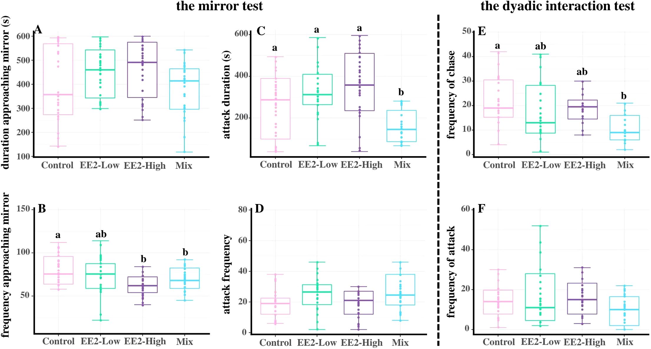 Box plots compare behavioral measures in mirror and dyadic interaction tests across four groups: Control, EE2-Low, EE2-High, and Mix. The mirror test includes duration approaching mirror (A), frequency approaching mirror (B), and attack duration (C, D). The dyadic interaction test shows frequency of chase (E) and attack (F). Data points display variability and statistical significance, indicated by letters above plots.