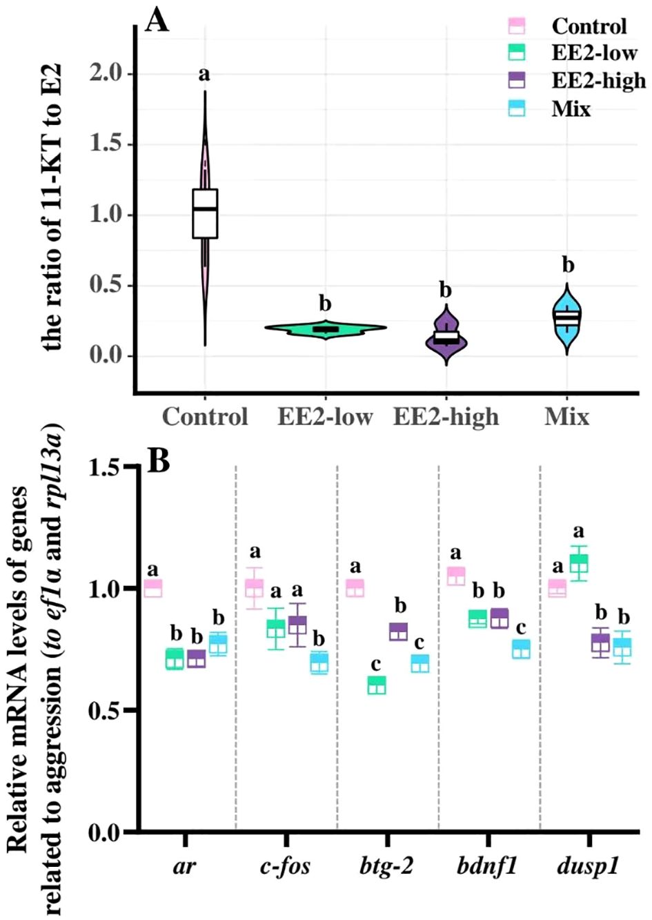 Two graphs depicting experimental data. Graph A shows a violin plot of the ratio of 11-KT to E2 across four groups: Control, EE2-low, EE2-high, and Mix, with the Control having the highest ratio labeled 'a' and others labeled 'b'. Graph B displays a box plot of relative mRNA levels of aggression-related genes (ar, c-fos, btg-2, bdnf1, and dusp1) normalized to ef1a and rpl13a, under the same four conditions. Different letters indicate statistical significance among groups.
