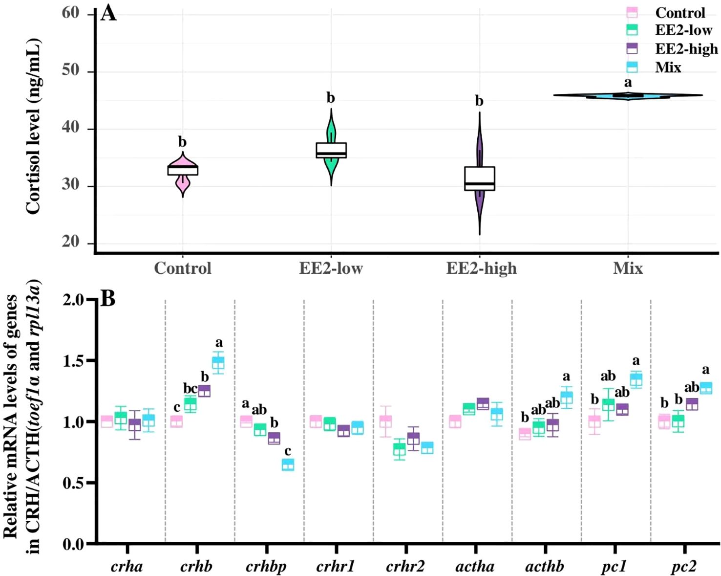 Panel A shows a violin plot comparing cortisol levels in different conditions: Control, EE2-low, EE2-high, and Mix. The Mix group has significantly higher cortisol levels. Panel B displays box plots of relative mRNA levels of genes crha, crhb, crhbp, crhr1, crhr2, actha, acthb, pc1, and pc2 across the four groups, with variations indicated by letters a, b, c.