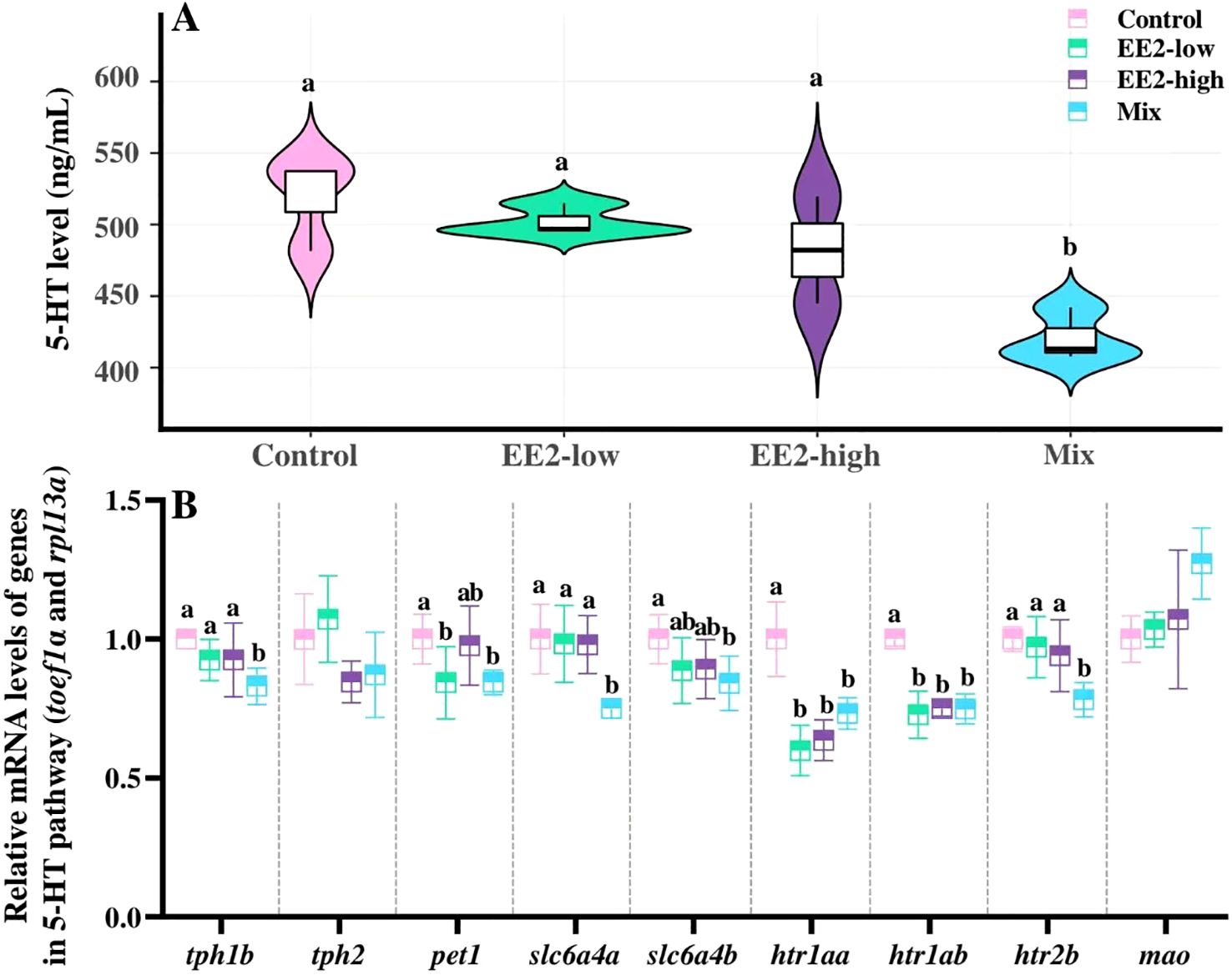 Graph A shows violin plots of 5-HT levels across four groups: Control, EE2-low, EE2-high, and Mix. Graph B presents box plots of relative mRNA levels for various genes in the 5-HT pathway. Different colors represent the groups, with statistical significance indicated by letters above points.