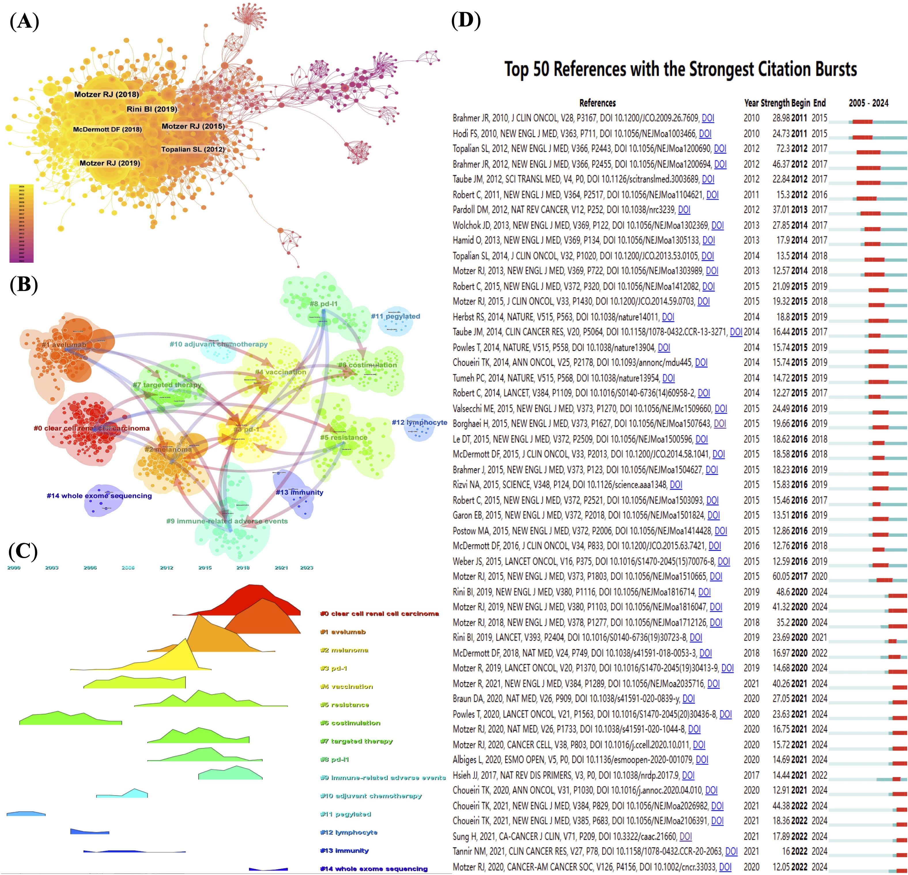 (A) Visualization of co-citation network, showing influential references with color-coded clusters based on authors and publication years. (B) Network map highlighting thematic clusters such as immunotherapy and clear cell renal cell carcinoma. (C) Thematic evolution graph displaying research trends over time from 2003 to 2024, with topics like adjuvant therapy and whole genome sequencing. (D) List of the top fifty references ranked by citation bursts, detailing references, burst strength, and timeline from 2005 to 2024.