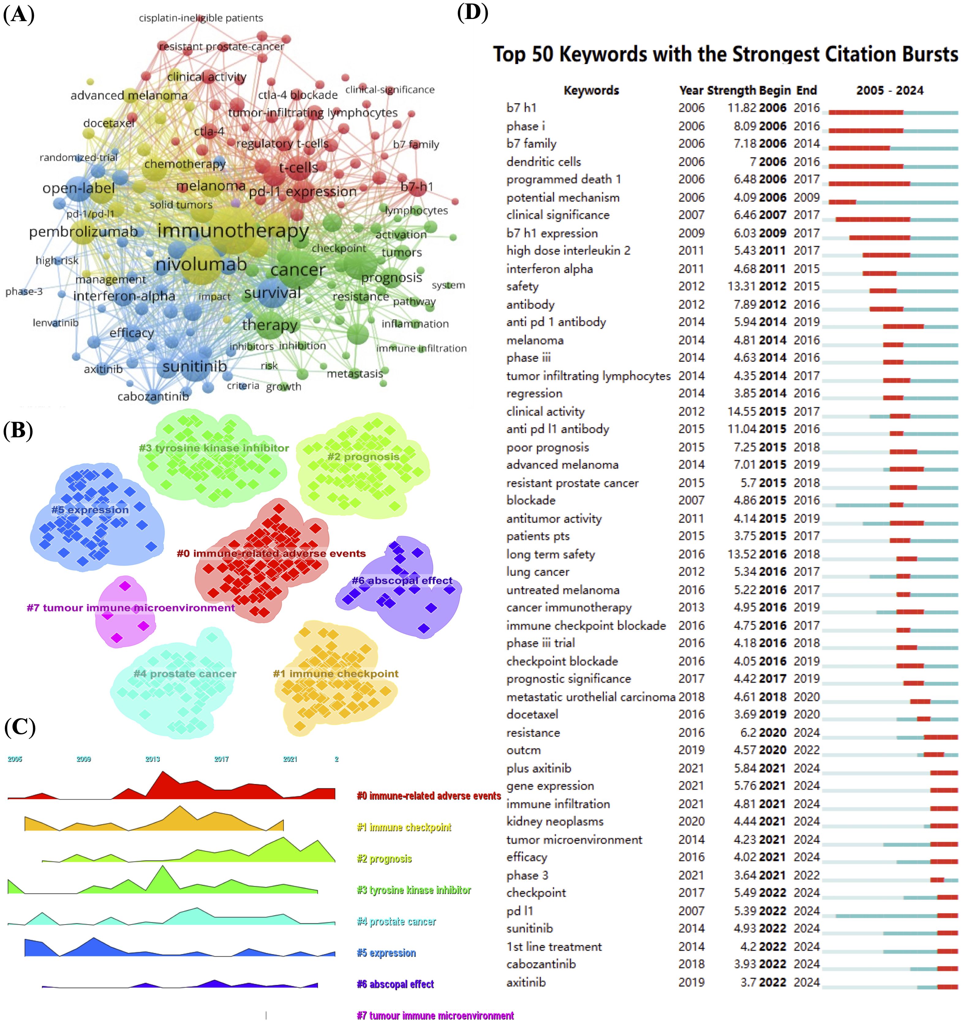 A multi-part visualization related to immunotherapy research trends. (A) A network map of keywords used in research papers, showing connections among terms like “immunotherapy,” “nivolumab,” and “cancer.” (B) Clusters highlighting major research topics, such as “immune-related adverse events” and “immune checkpoint.” (C) A timeline of citation bursts for these topics from 1995 to 2021. (D) A list of the top 50 keywords with the strongest citation bursts between 2005 and 2024, including “b7 h1,” “phase i,” and “dendritic cells.