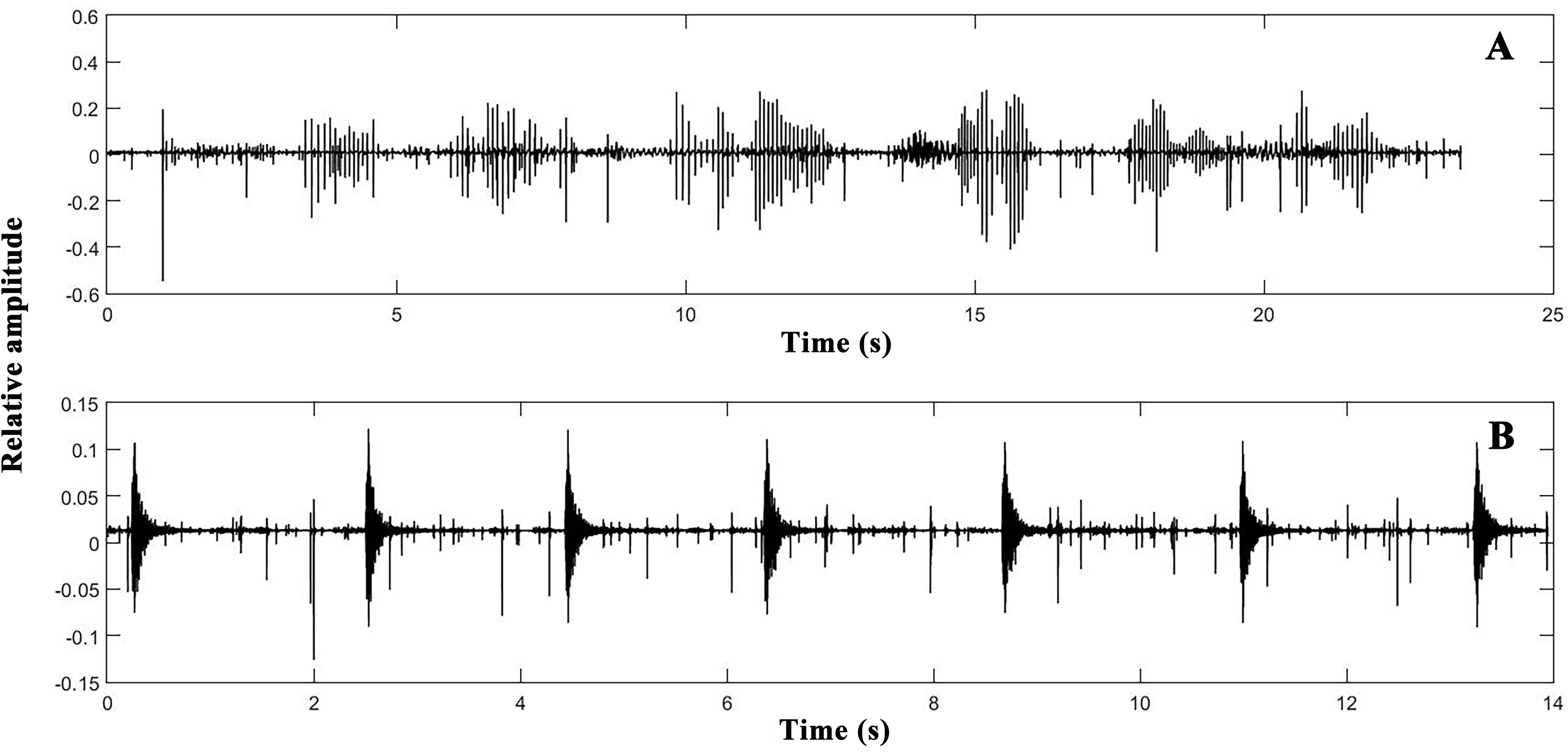 Two waveform graphs labeled A and B. Graph A displays relative amplitude over a time span of twenty-five seconds with fluctuating peaks. Graph B shows a similar pattern over fourteen seconds with distinct spikes at regular intervals. Both axes are labeled with time in seconds and relative amplitude.