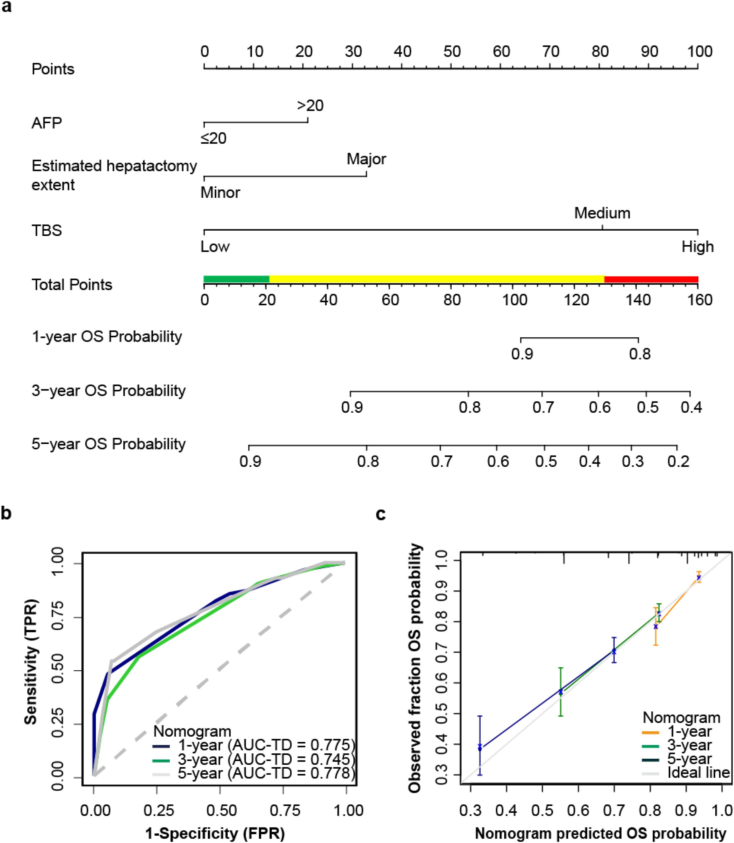 Panel (a) shows a nomogram predicting one, three, and five-year overall survival (OS) probability based on total points calculated from AFP, hepatotomy extent, and TBS. Panel (b) presents ROC curves for one, three, and five-year OS with respective AUC-TD values. Panel (c) depicts calibration plots comparing observed versus predicted OS probabilities for one, three, and five years.