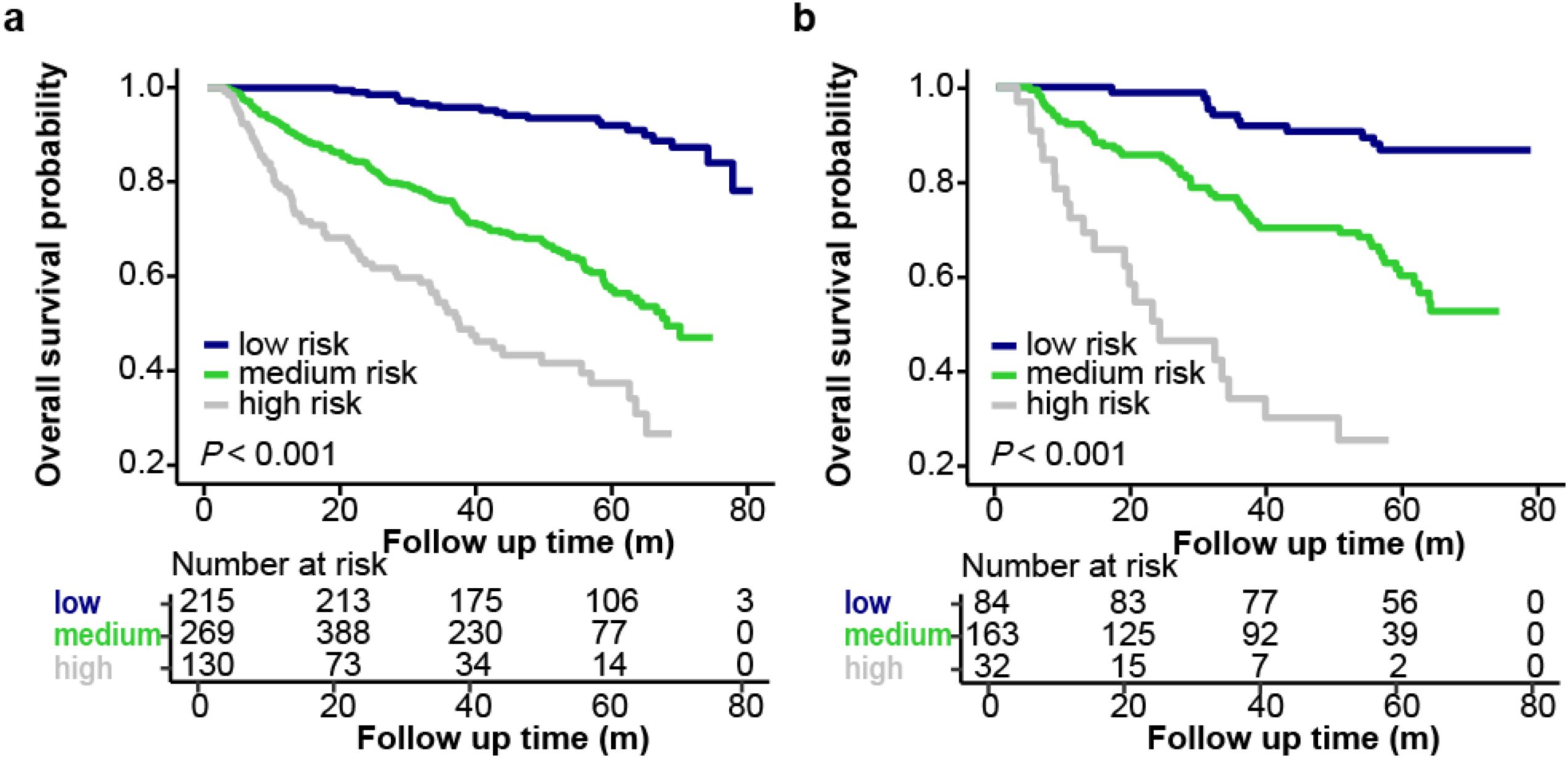 Kaplan-Meier survival plots showing overall survival probability over follow-up time for three risk groups: low (blue), medium (green), and high (gray). Chart a and b each illustrate the survival rate differences among the groups, with a significant P-value of less than 0.001. The tables below indicate the number of patients at risk at various time points.