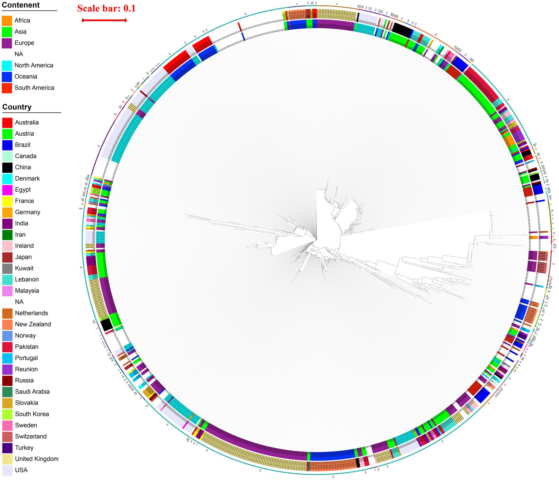 Circular phylogenetic tree diagram depicting genetic relationships. Outer colored bands represent continents and countries: Africa, Asia, Europe, North America, Oceania, and South America. A scale bar indicates 0.1 units. Various countries are color-coded with an adjacent legend detailing their association.