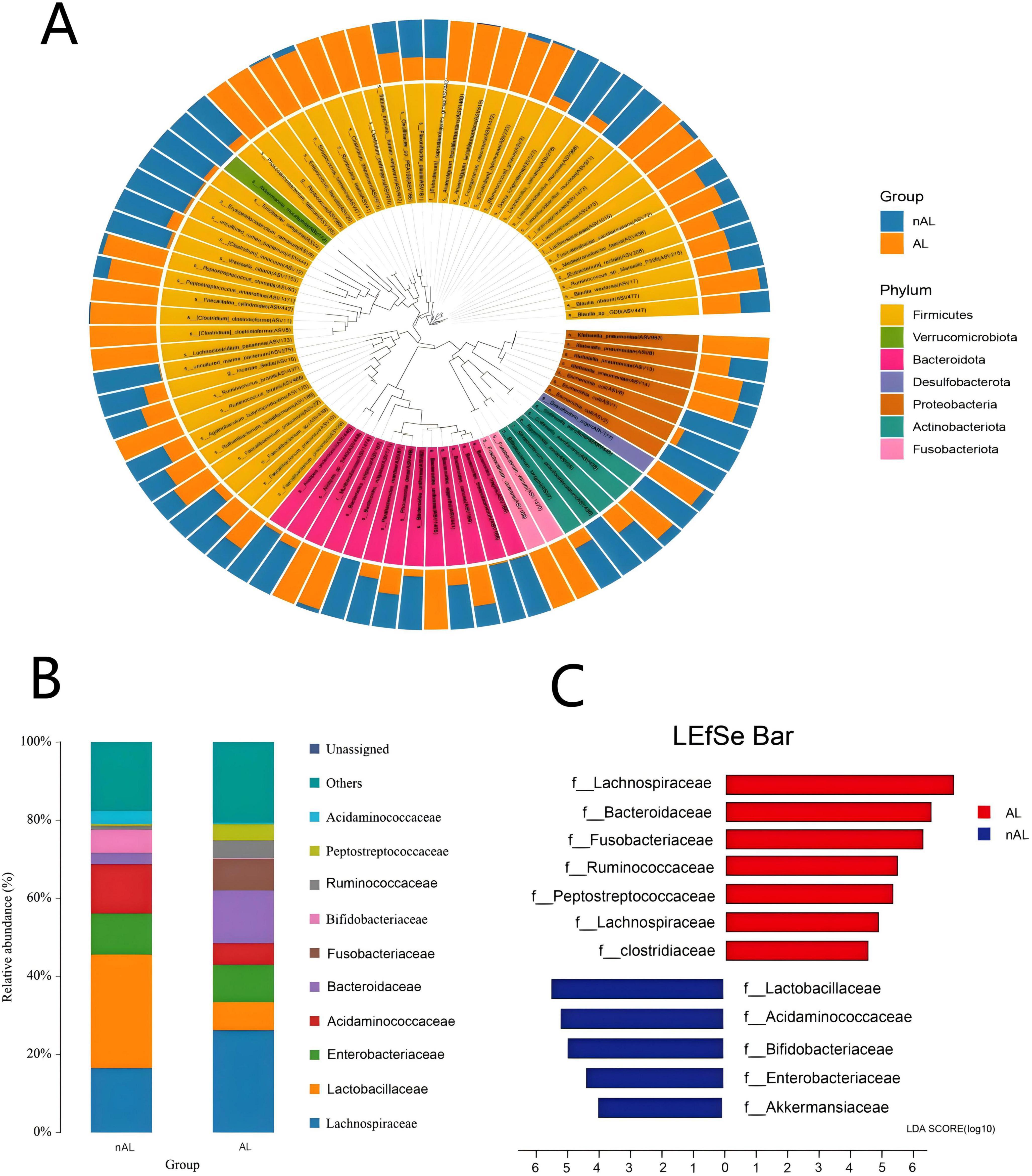 Image showing three panels of microbial data visualization. Panel A: Circular dendrogram displaying microbial taxonomy with color-coded segments representing different phyla and two groups labeled nAL and AL. Panel B: Stacked bar chart comparing the relative abundance of microbial families between nAL and AL groups. Panel C: LEfSe bar chart indicating significant microbial families with LDA scores, using red for AL and blue for nAL.