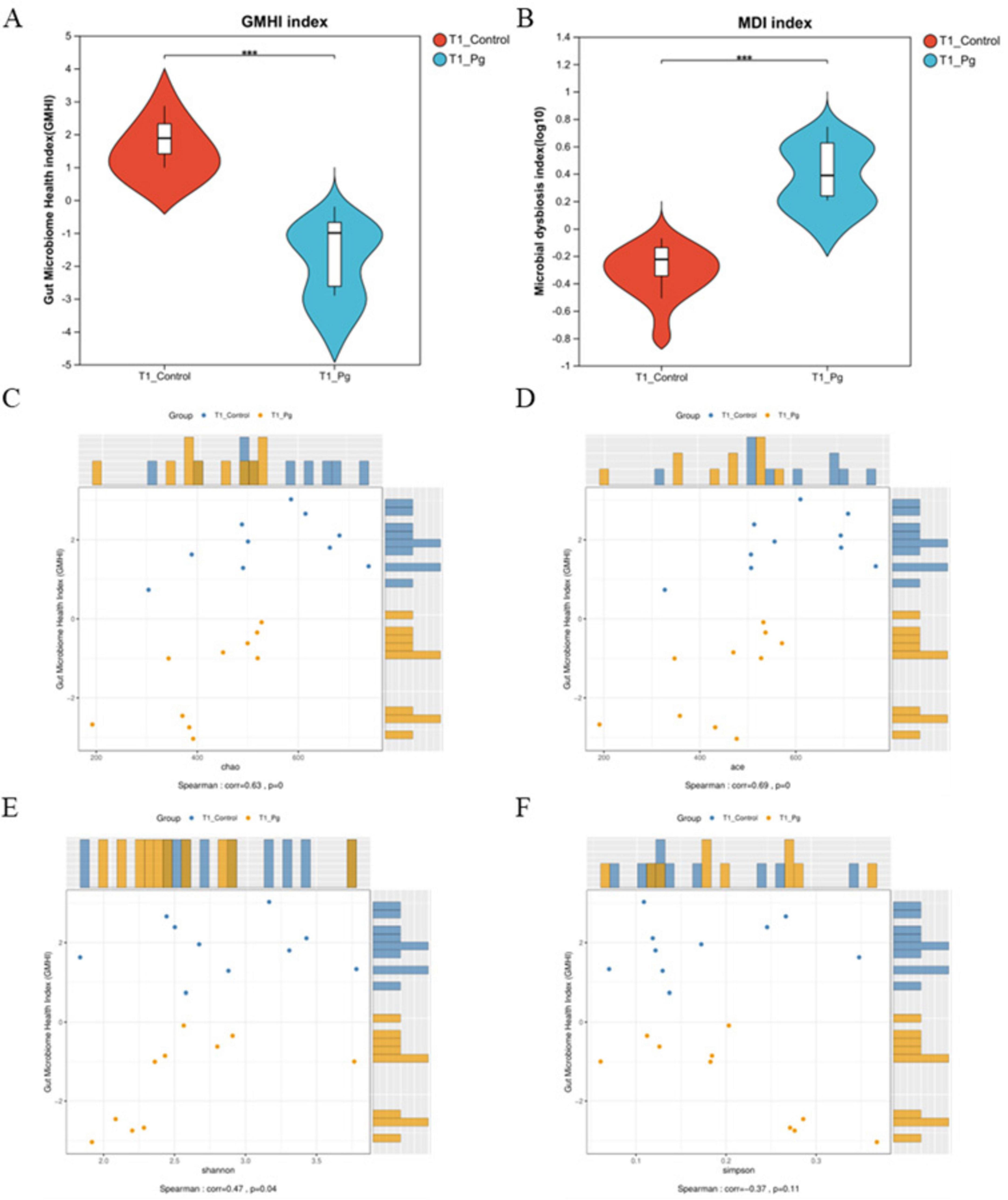 Violin plots and scatter plots comparing gut microbiome health and microbial dysbiosis indices. Panel A shows the GMHI index with higher values in T1_Control than T1_Pg. Panel B displays the MDI index with higher values in T1_Pg. Panels C, D, E, and F feature scatter plots correlating GMHI with diversity indices (chao, ace, shannon, simpson). T1_Control is in blue and T1_Pg is in orange. Statistically significant differences are marked with asterisks.