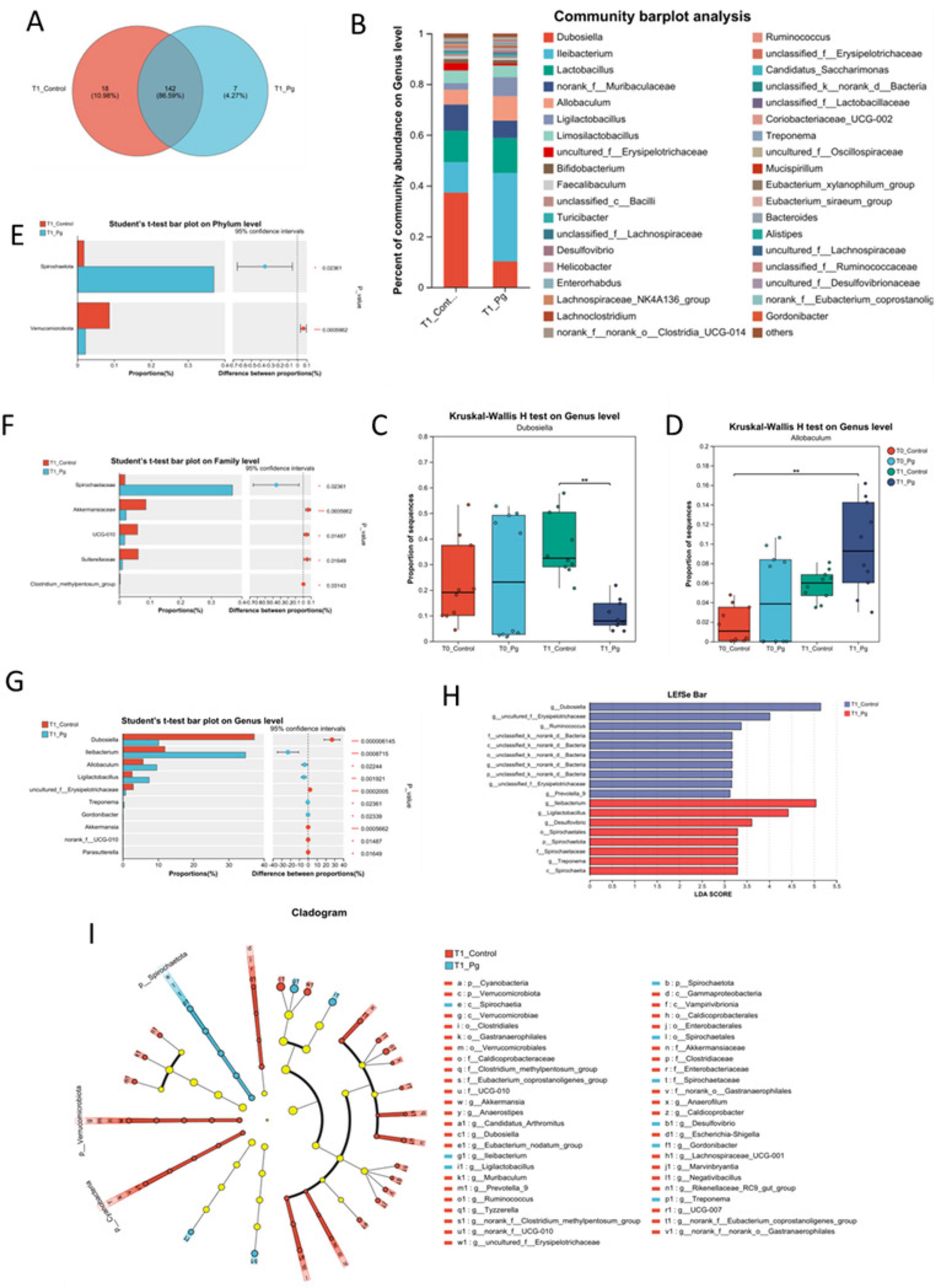 A series of scientific diagrams related to microbial analysis. (A) Venn diagram shows the overlap of microbial species between T1 Control and T1 Pg groups. (B) Barplot depicts community abundance at the genus level. (E, F, G) Student’s t-test bar plots display differences in microbial proportions at phylum, family, and genus levels respectively. (C, D) Box plots from Kruskal-Wallis H test show genus-level data for Dubosiella and Alistipes. (H) LEfSe bar chart indicates differences between groups. (I) Cladogram visualizes the phylogenetic relationships and differences across groups.