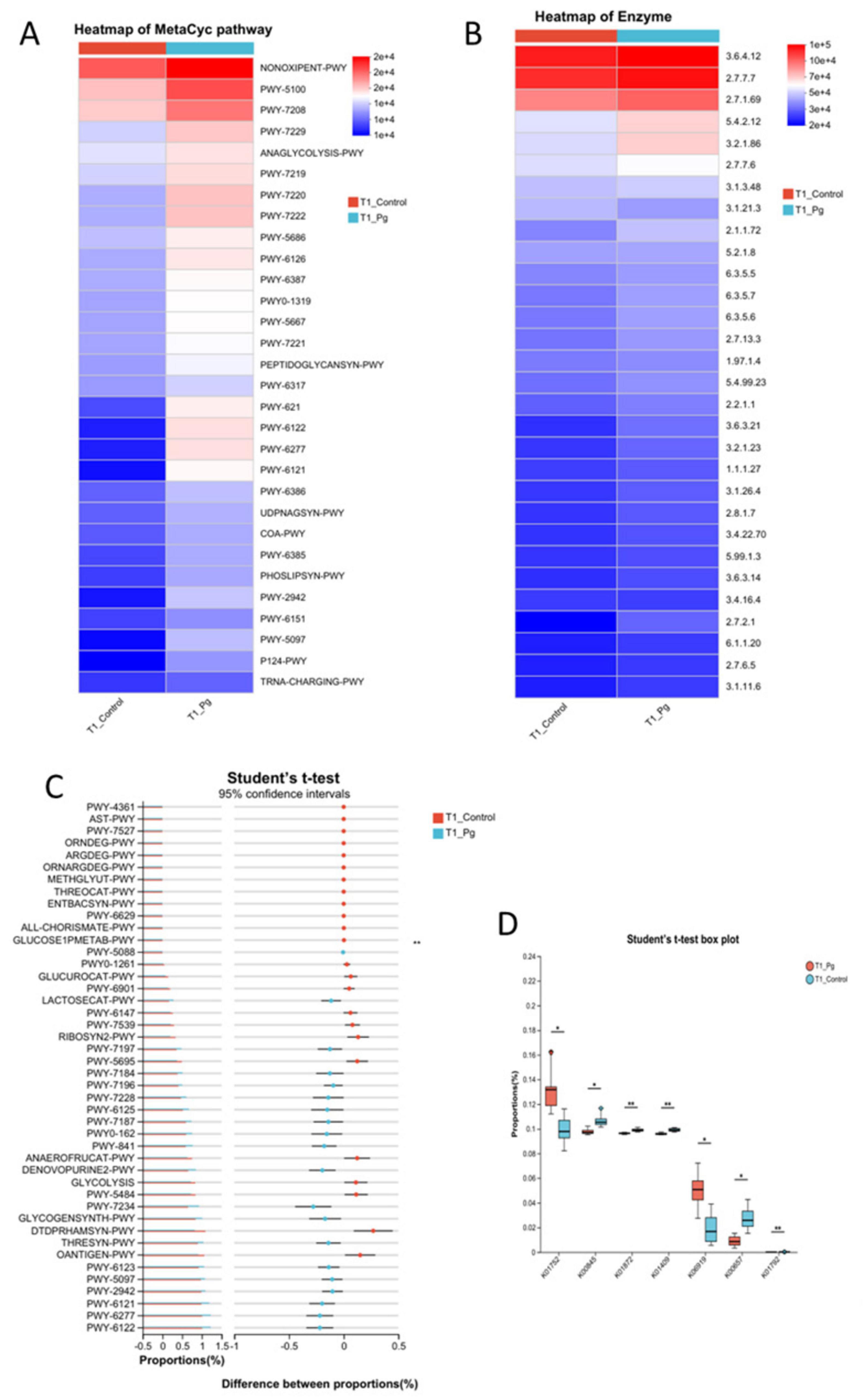 Panel A shows a heatmap of MetaCyc pathways, highlighting differences between T1_Control and T1_Pg in varying shades. Panel B presents a heatmap of enzyme levels, also differentiating T1_Control and T1_Pg. Panel C contains a Student’s t-test graph with confidence intervals comparing proportions of pathways between the two groups. Panel D features a box plot illustrating the distribution of pathway proportions in T1_Pg and T1_Control, showcasing statistical differences.