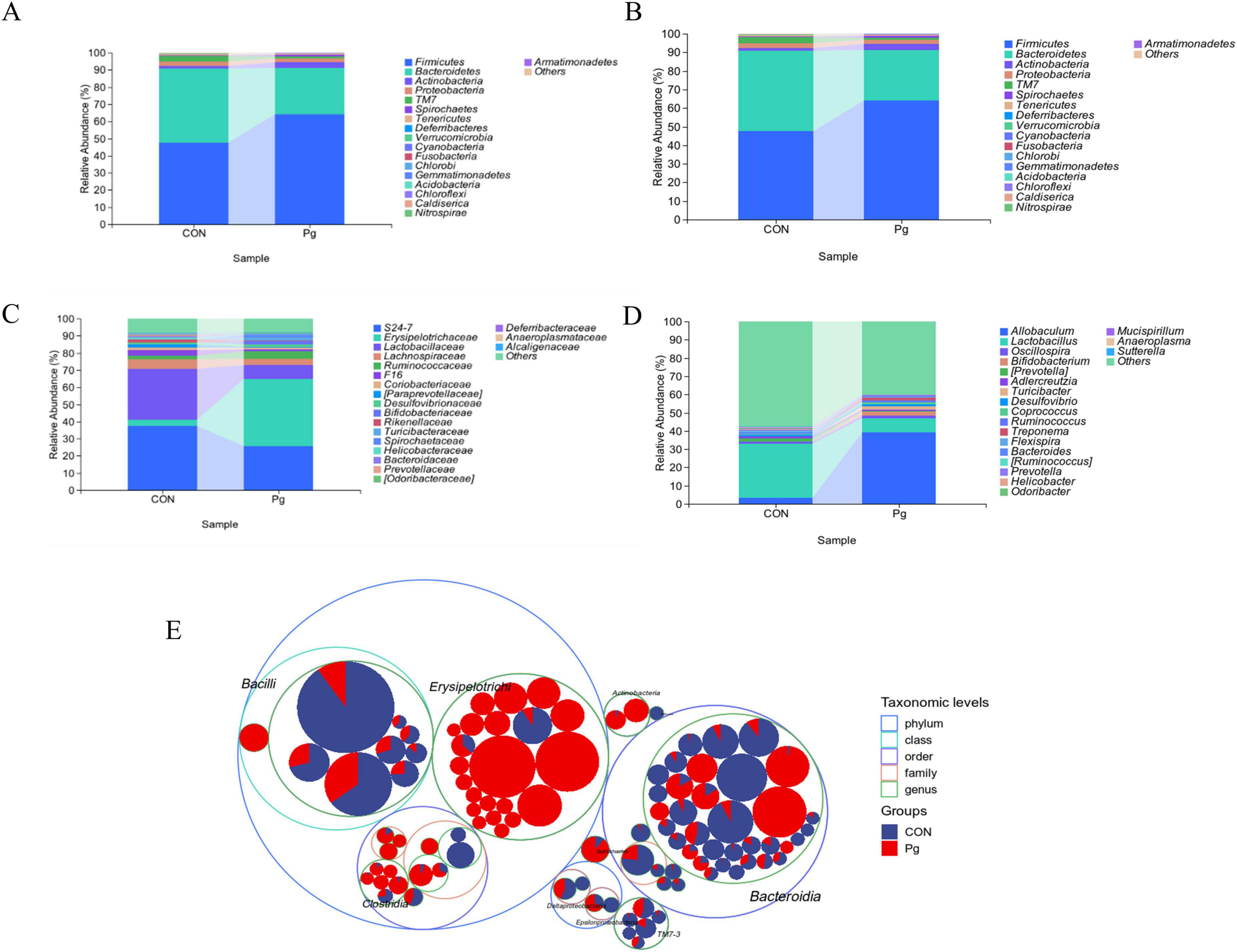 Five graphs depicting microbial communities. Graphs A, B, C, and D are stacked bar charts showing relative abundance percentages of various bacteria classified by phylum, family, and genus across two samples: CON and Pg. Graph E is a bubble plot illustrating taxonomic levels from phylum to genus, with circles sized by abundance and colored by sample groups, CON (blue) and Pg (red).